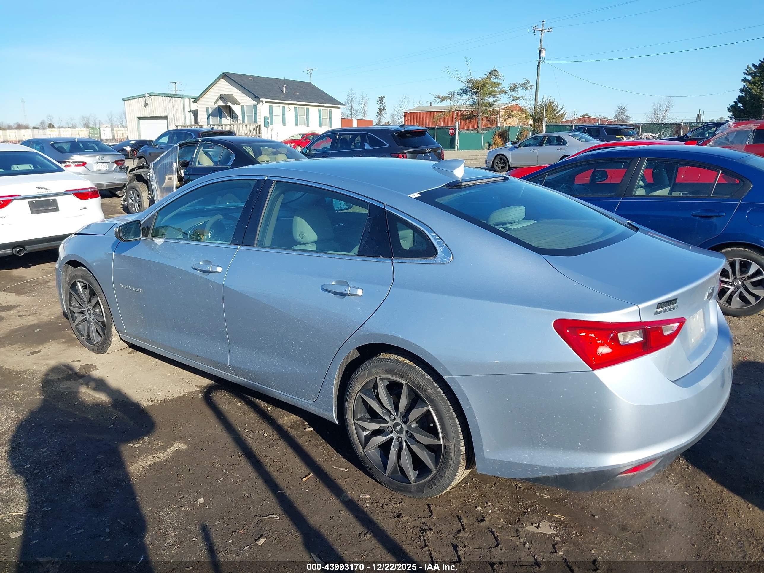 CHEVROLET MALIBU image 3