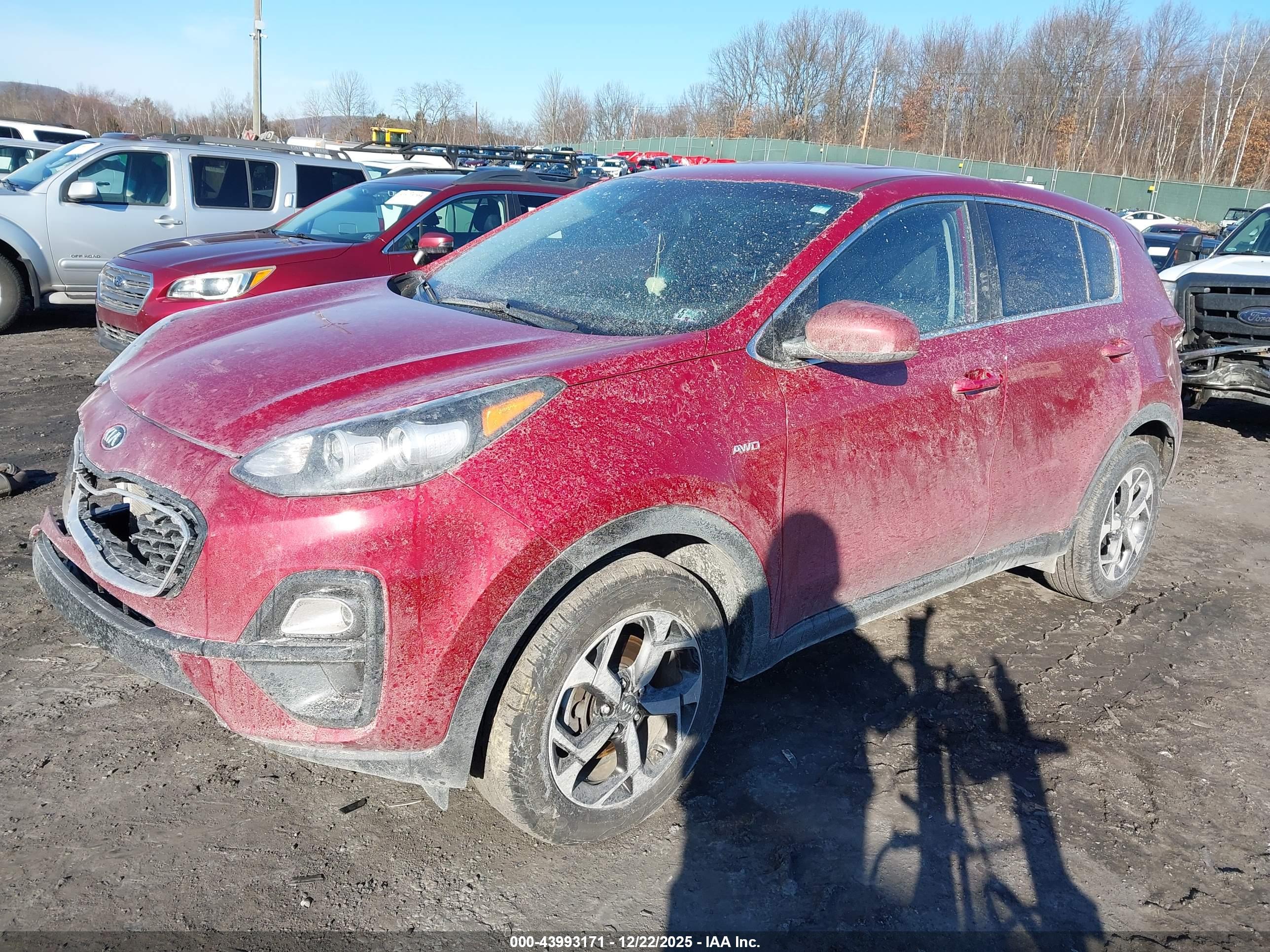 KIA SPORTAGE image 2