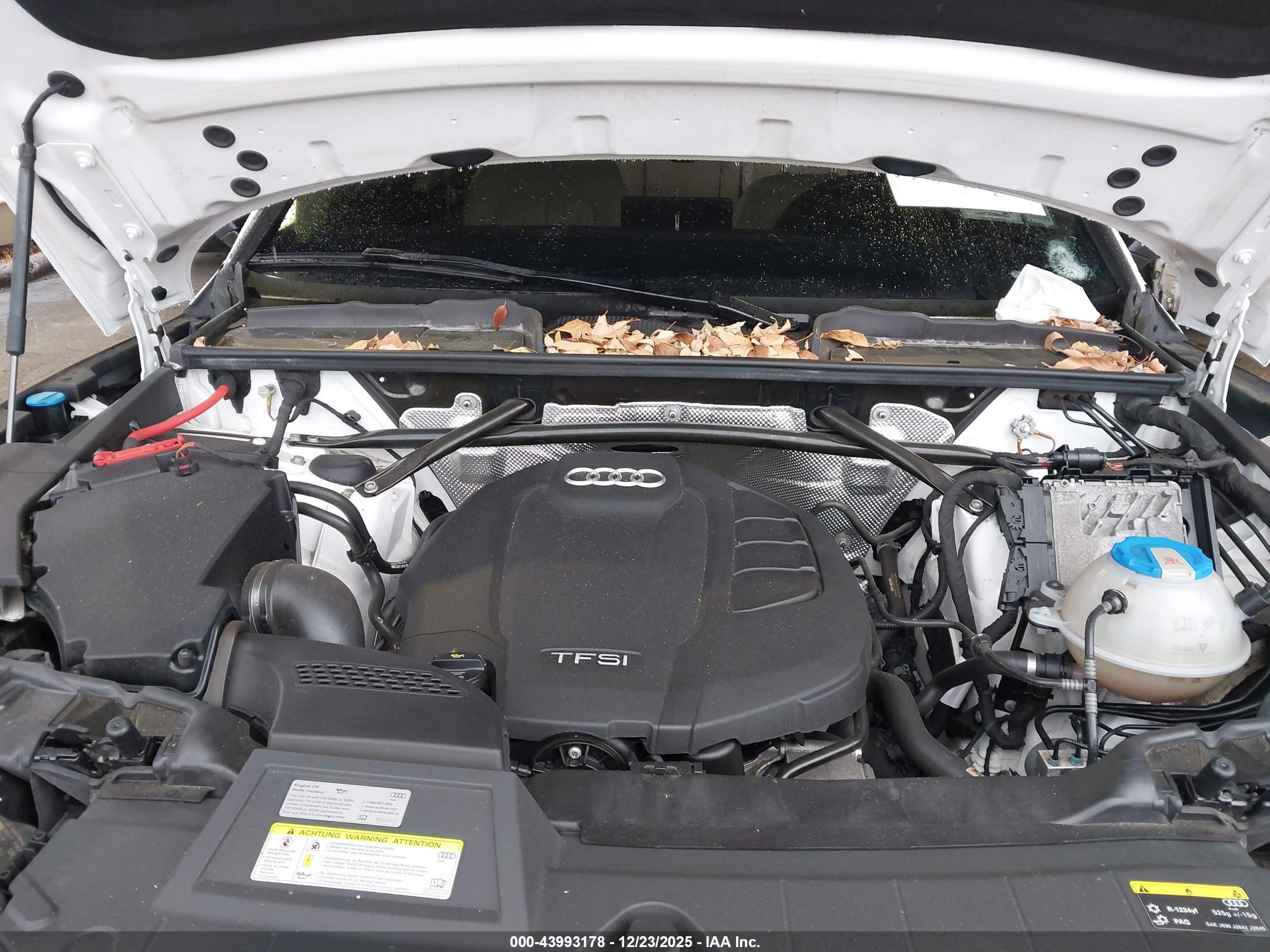 AUDI Q5 image 10