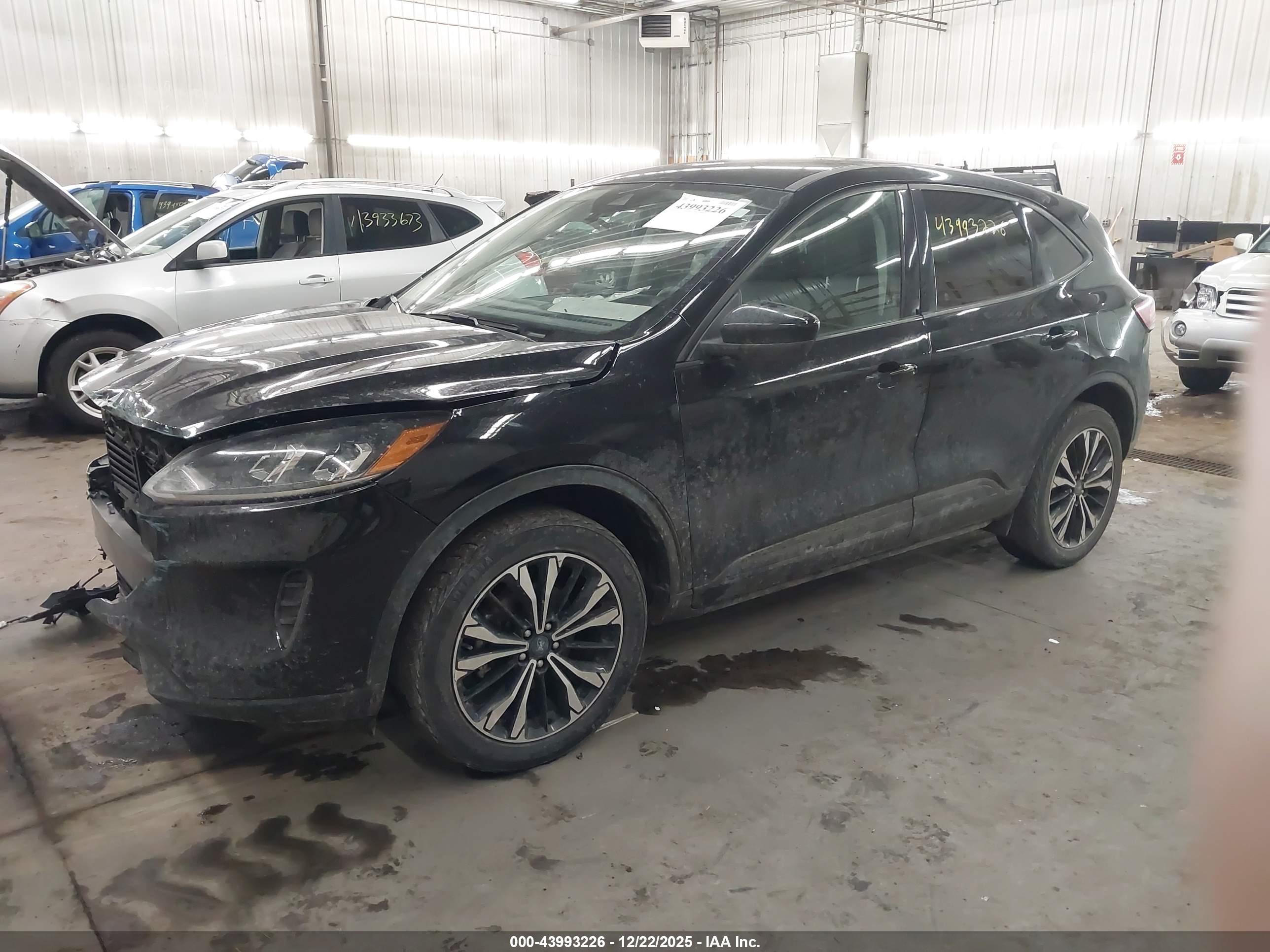 FORD ESCAPE image 2