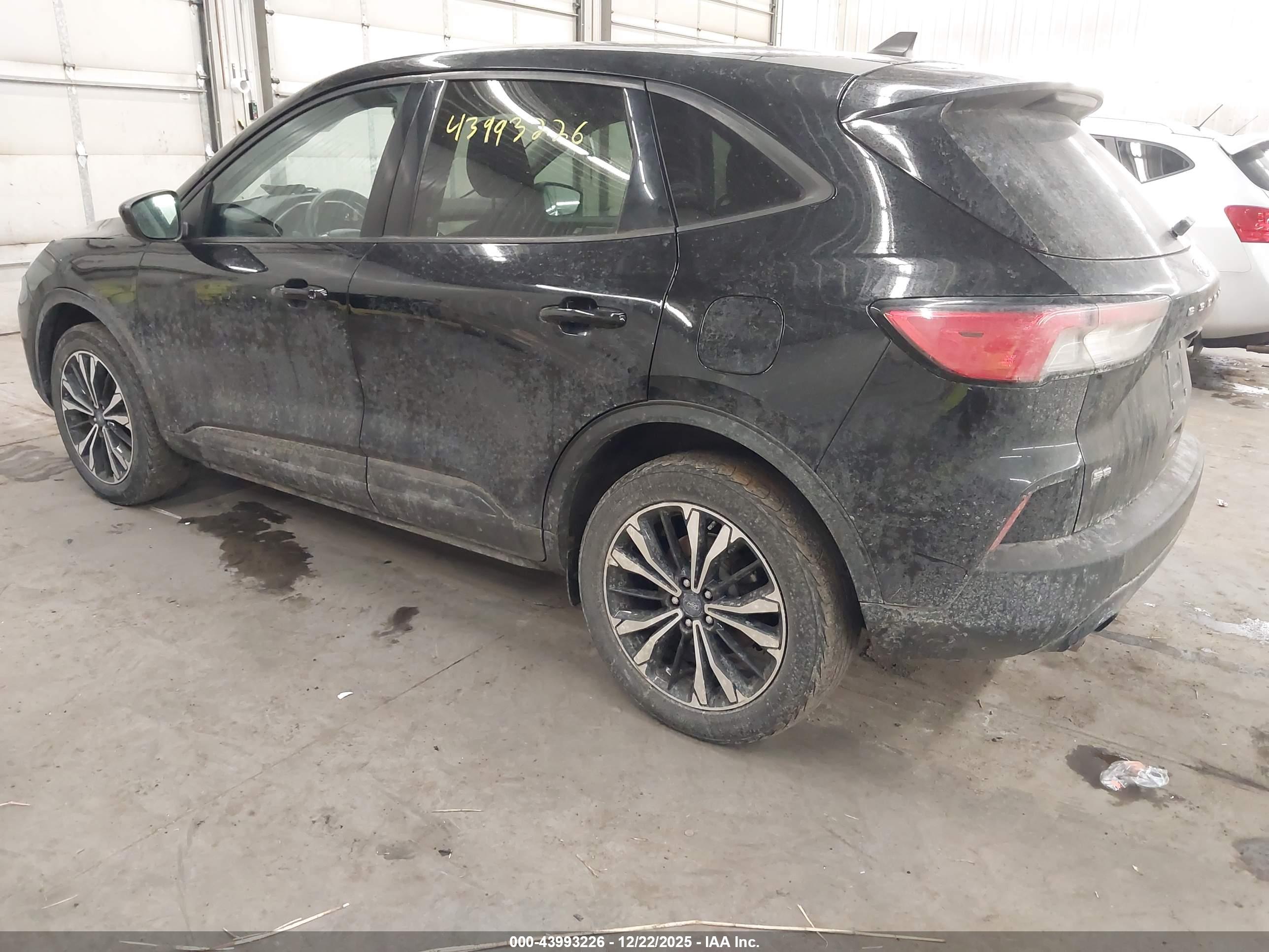 FORD ESCAPE image 3
