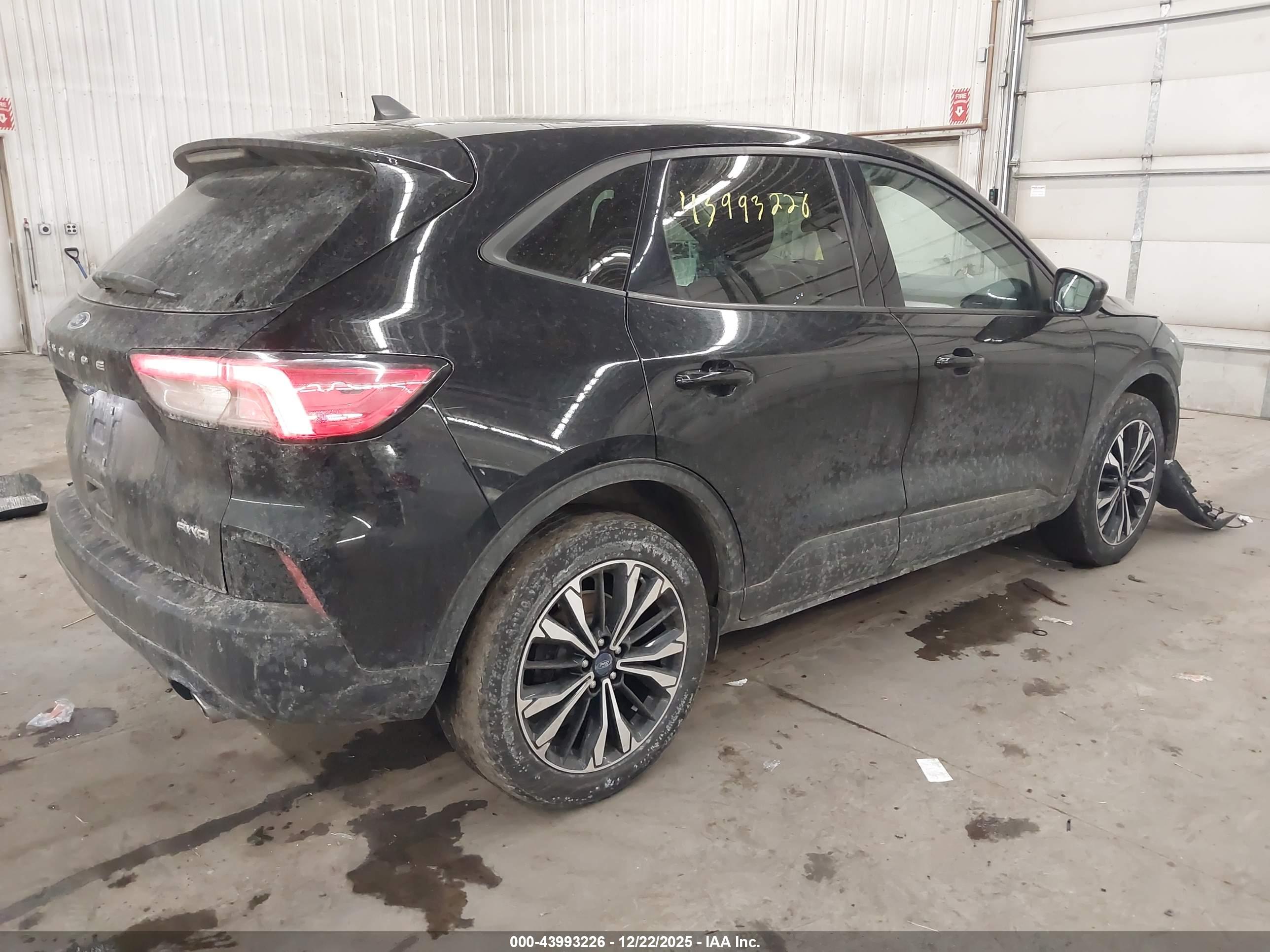 FORD ESCAPE image 4