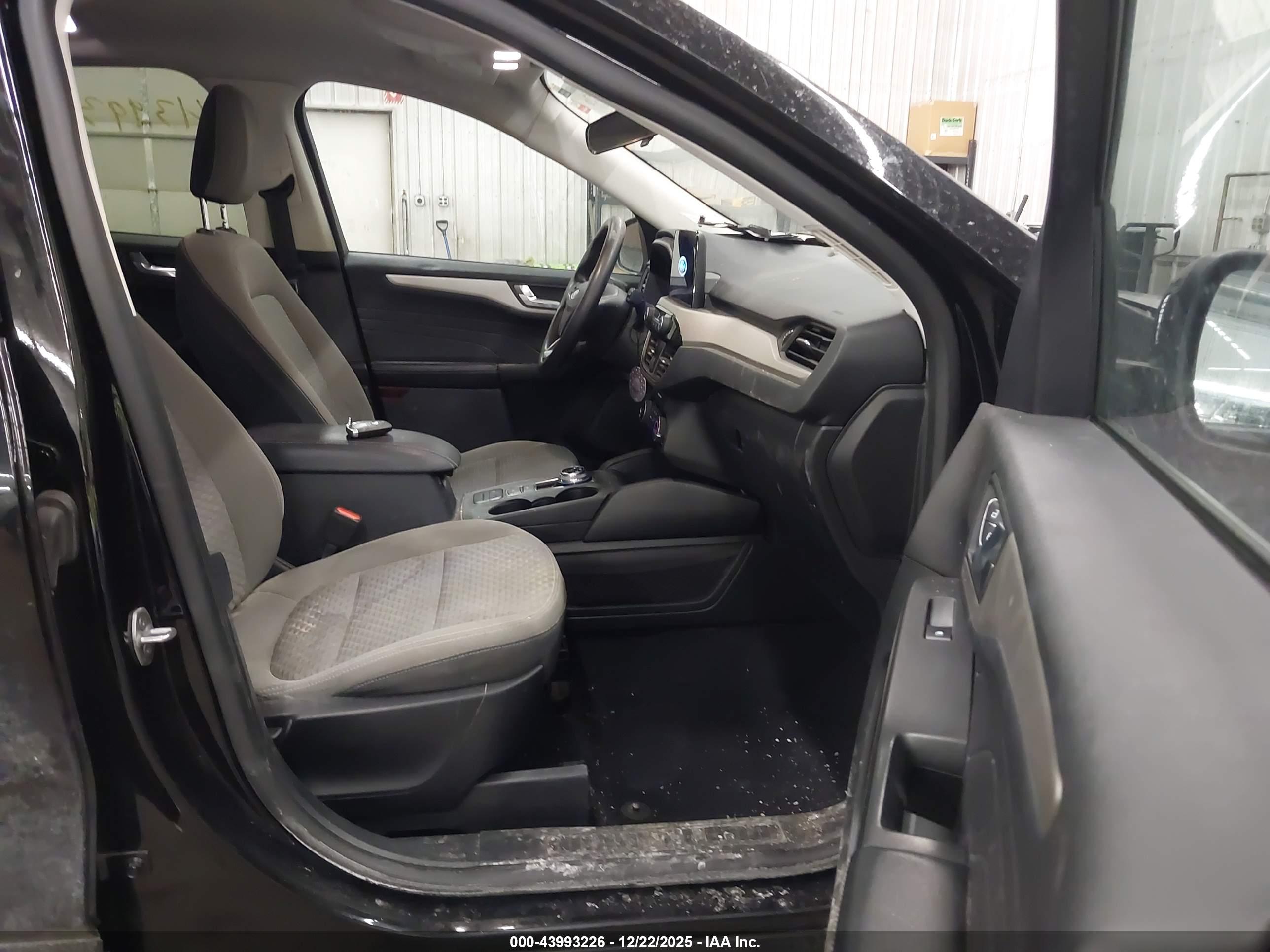 FORD ESCAPE image 5