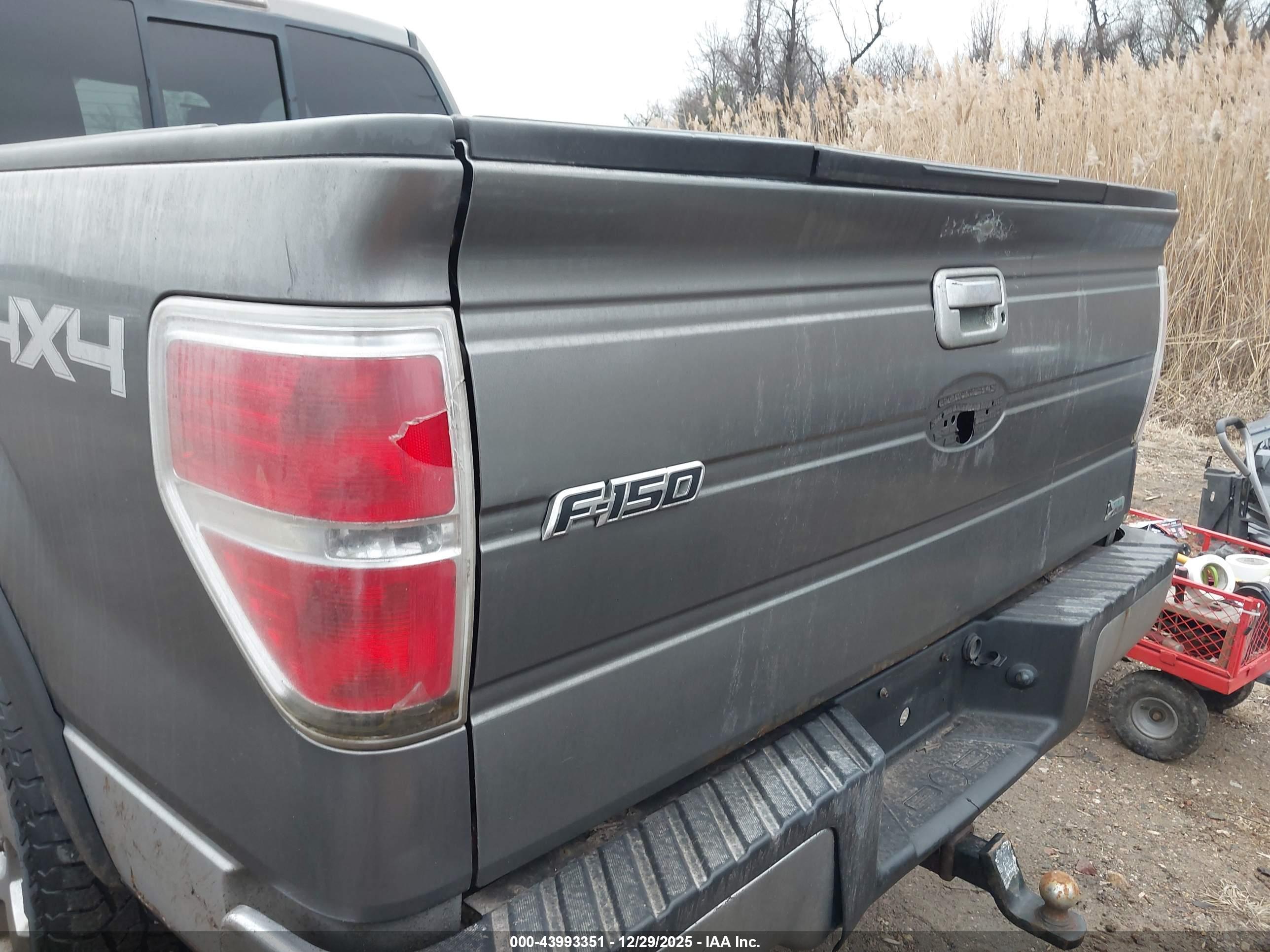 FORD F-150 image 6