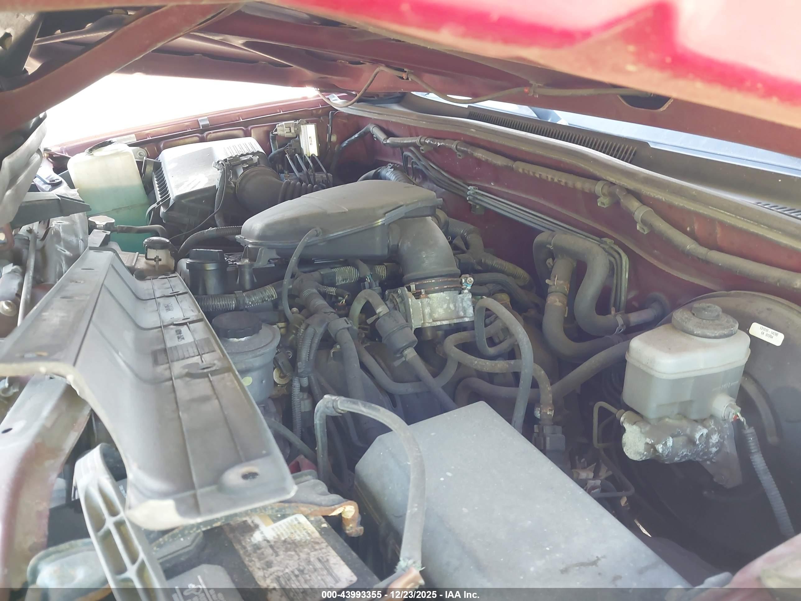 TOYOTA TACOMA image 10
