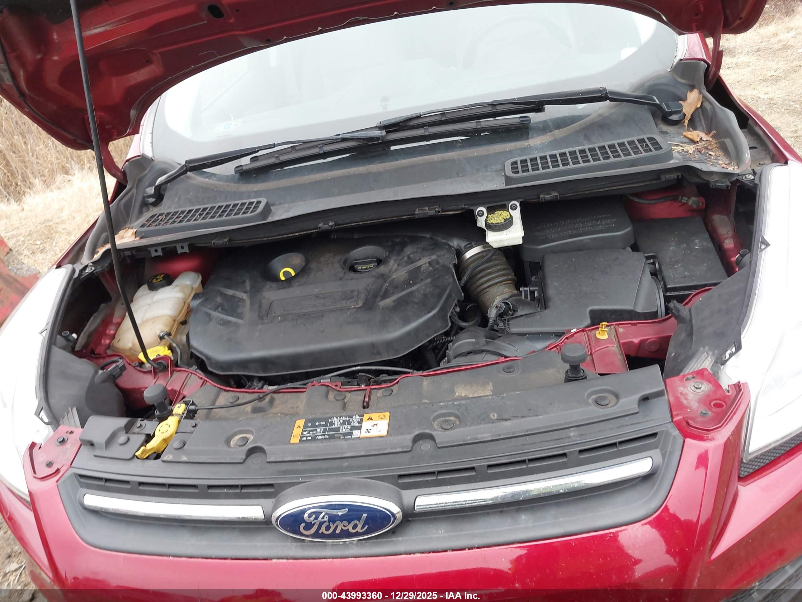 FORD ESCAPE image 10