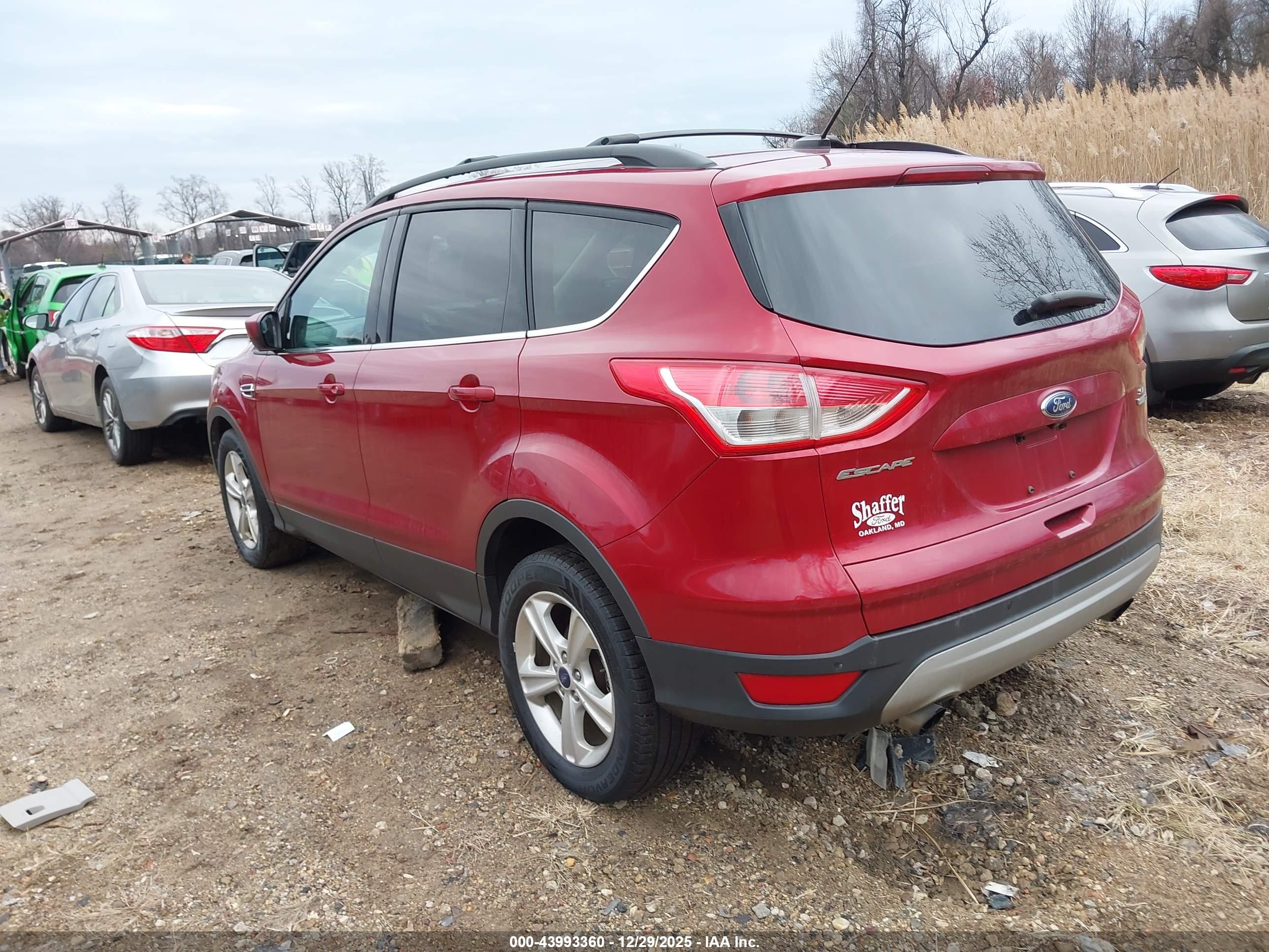 FORD ESCAPE image 3