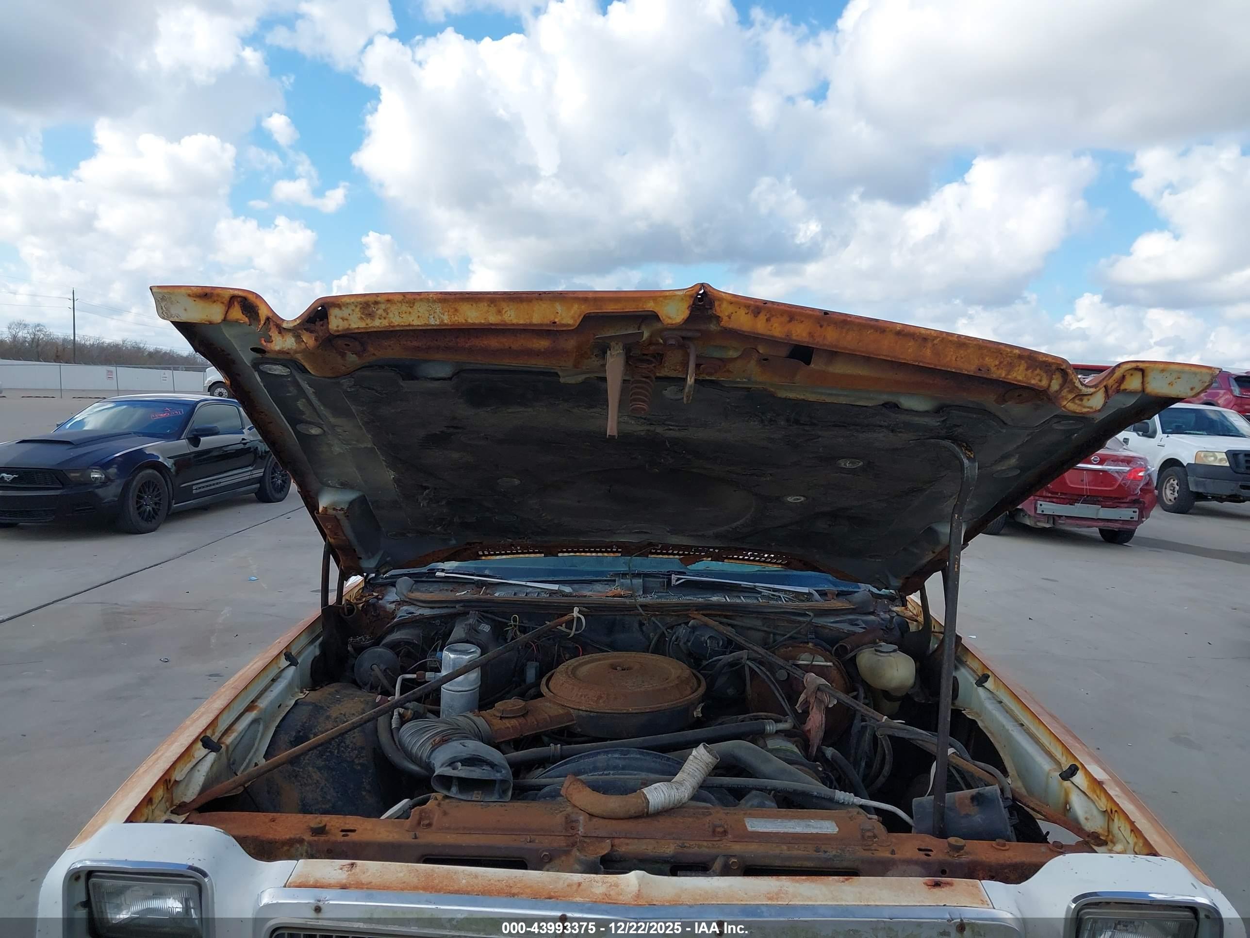 CHEVROLET EL image 10