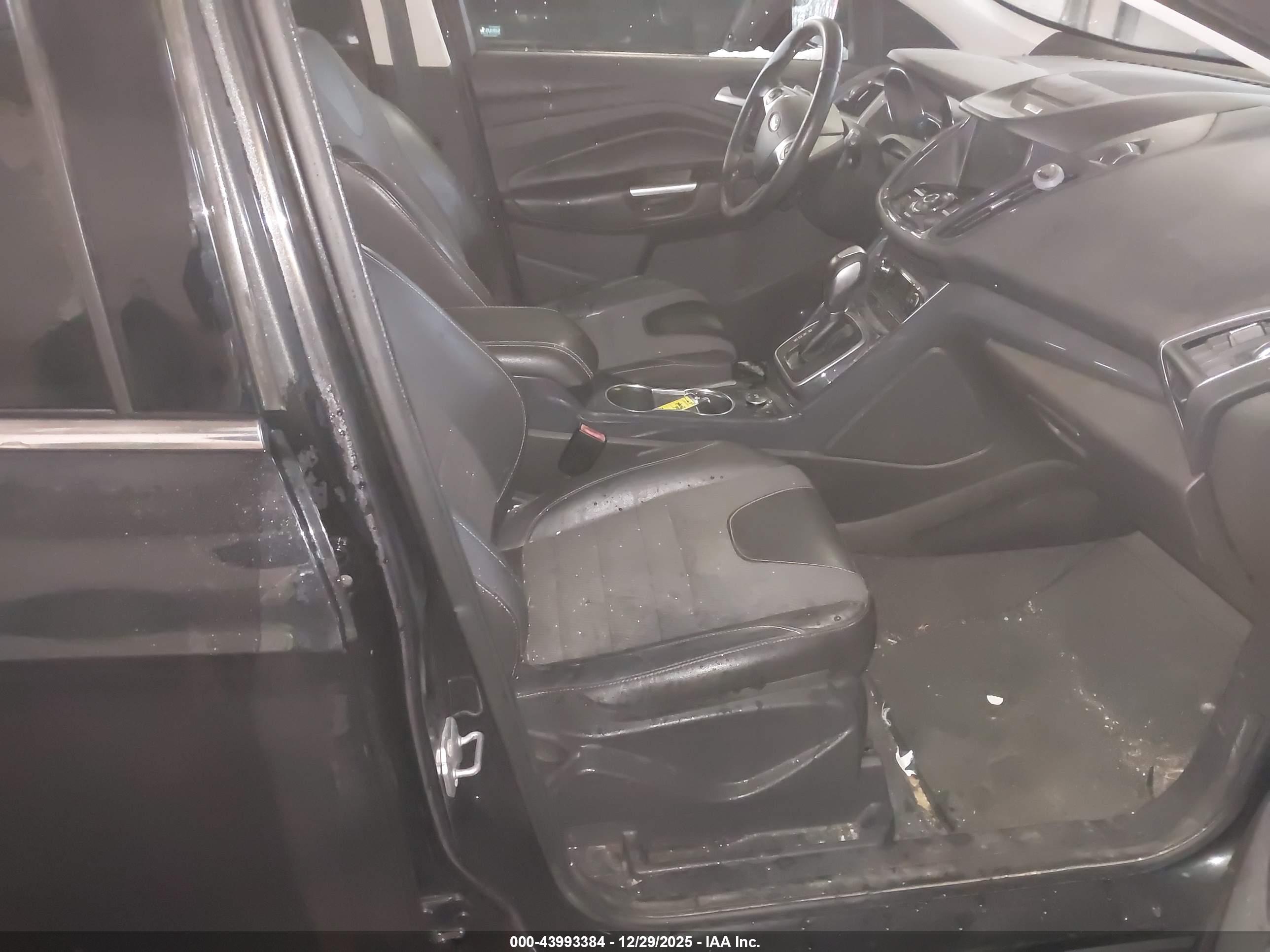 FORD ESCAPE image 5