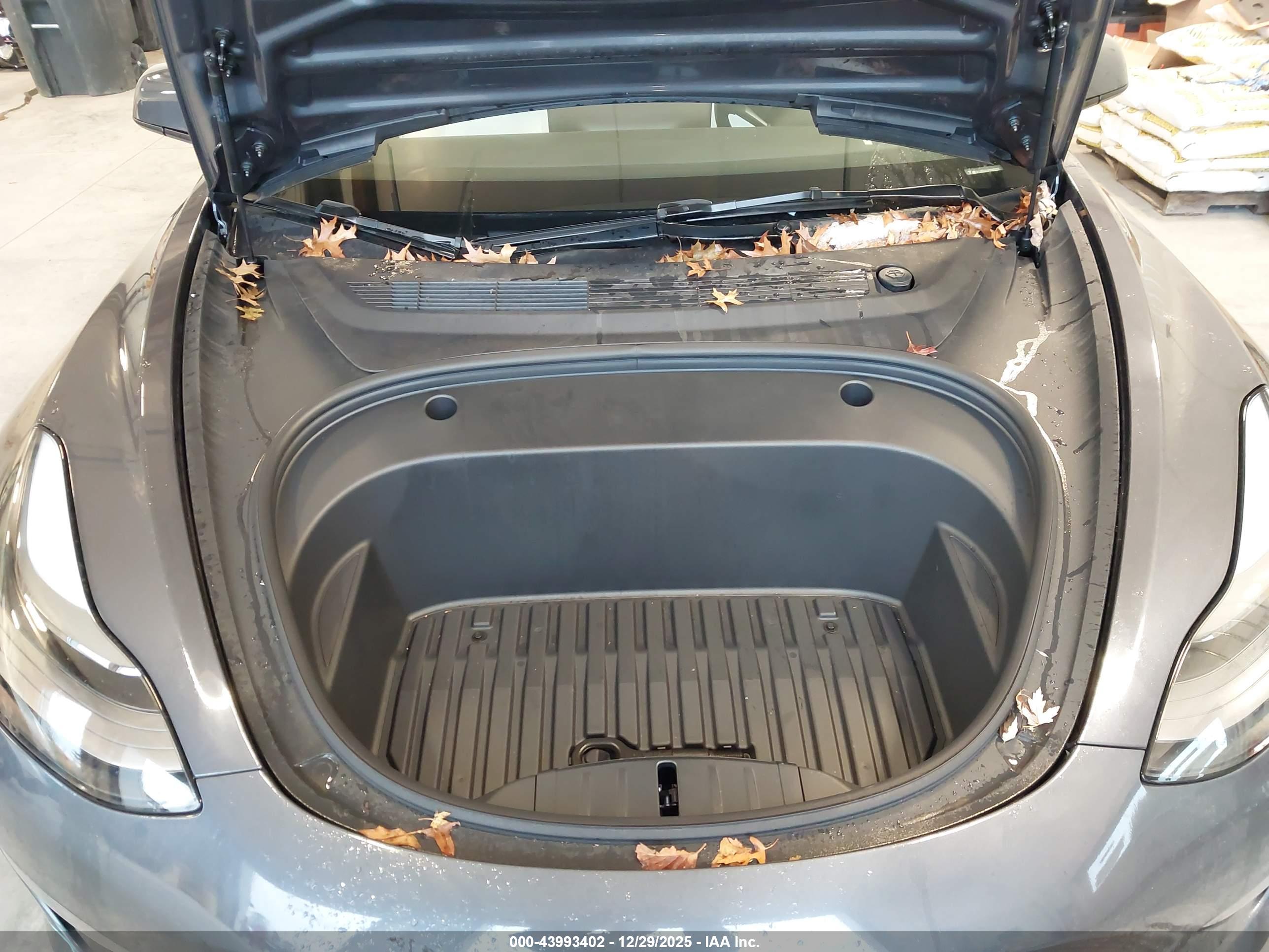 TESLA MODEL image 10