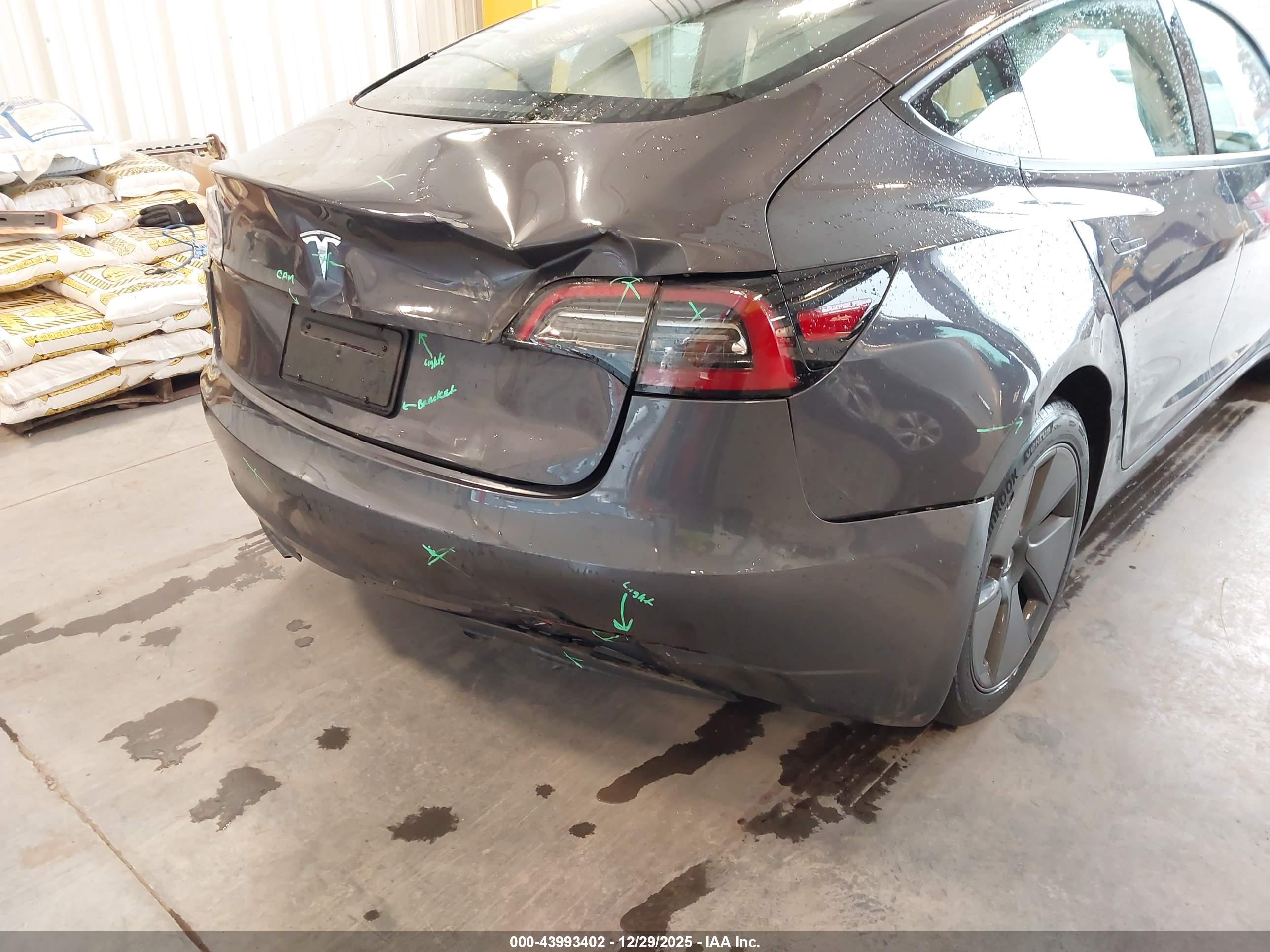 TESLA MODEL image 6