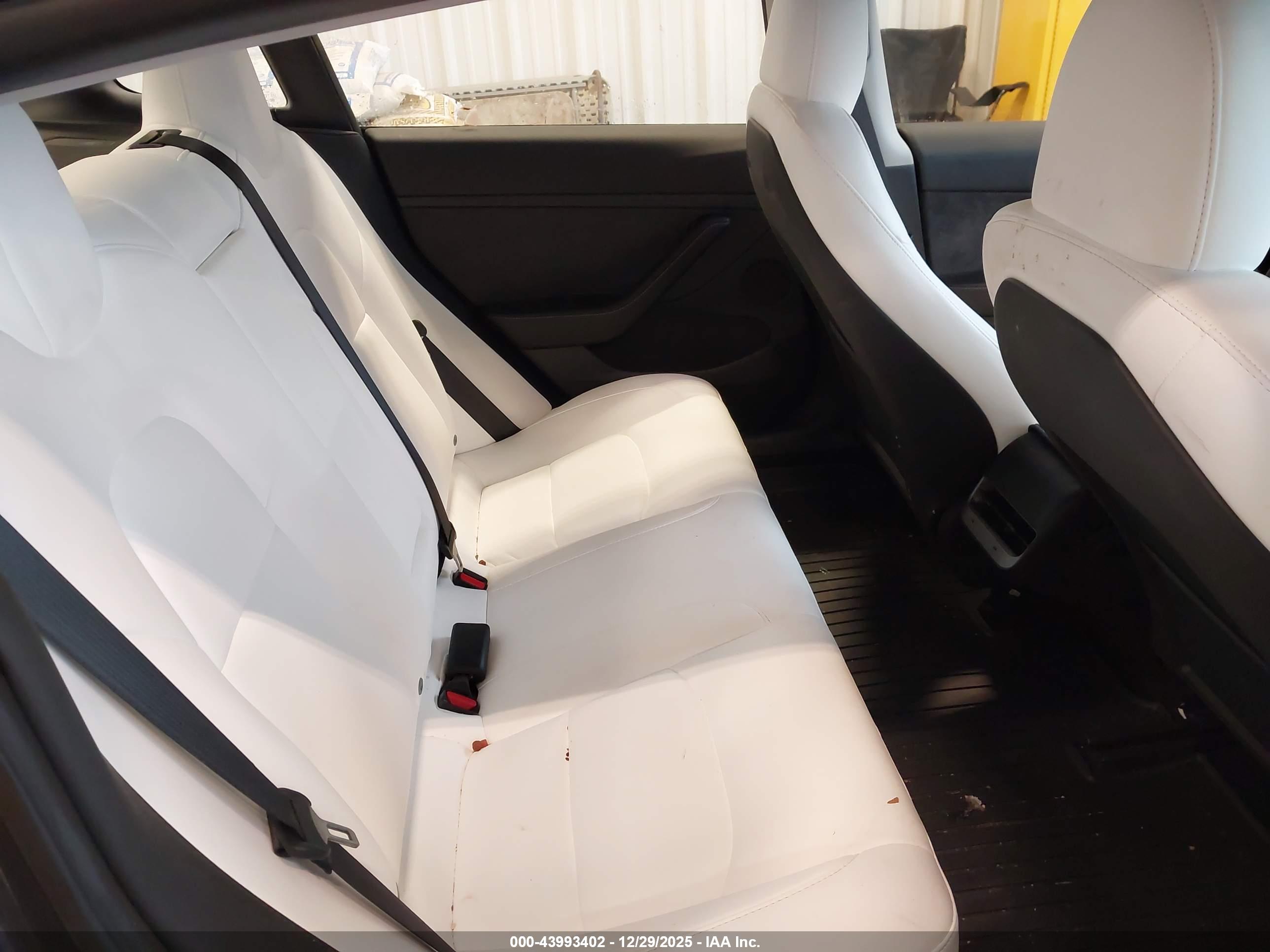 TESLA MODEL image 8