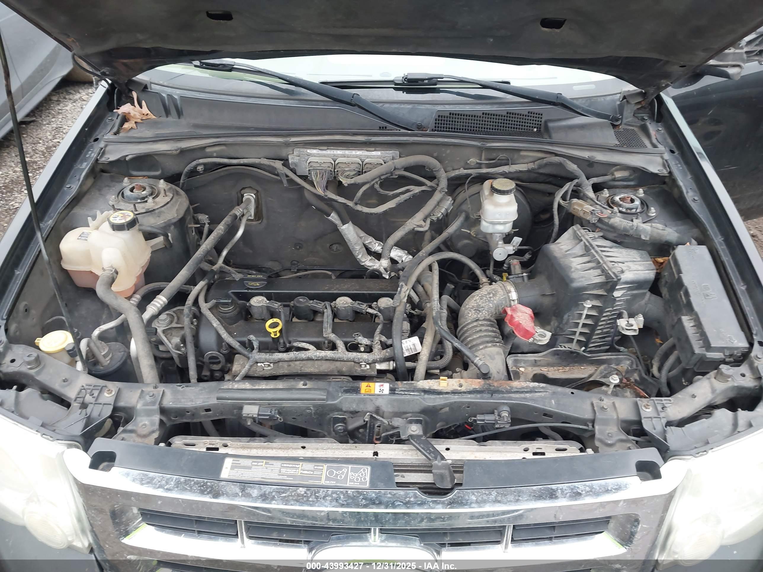 FORD ESCAPE image 10