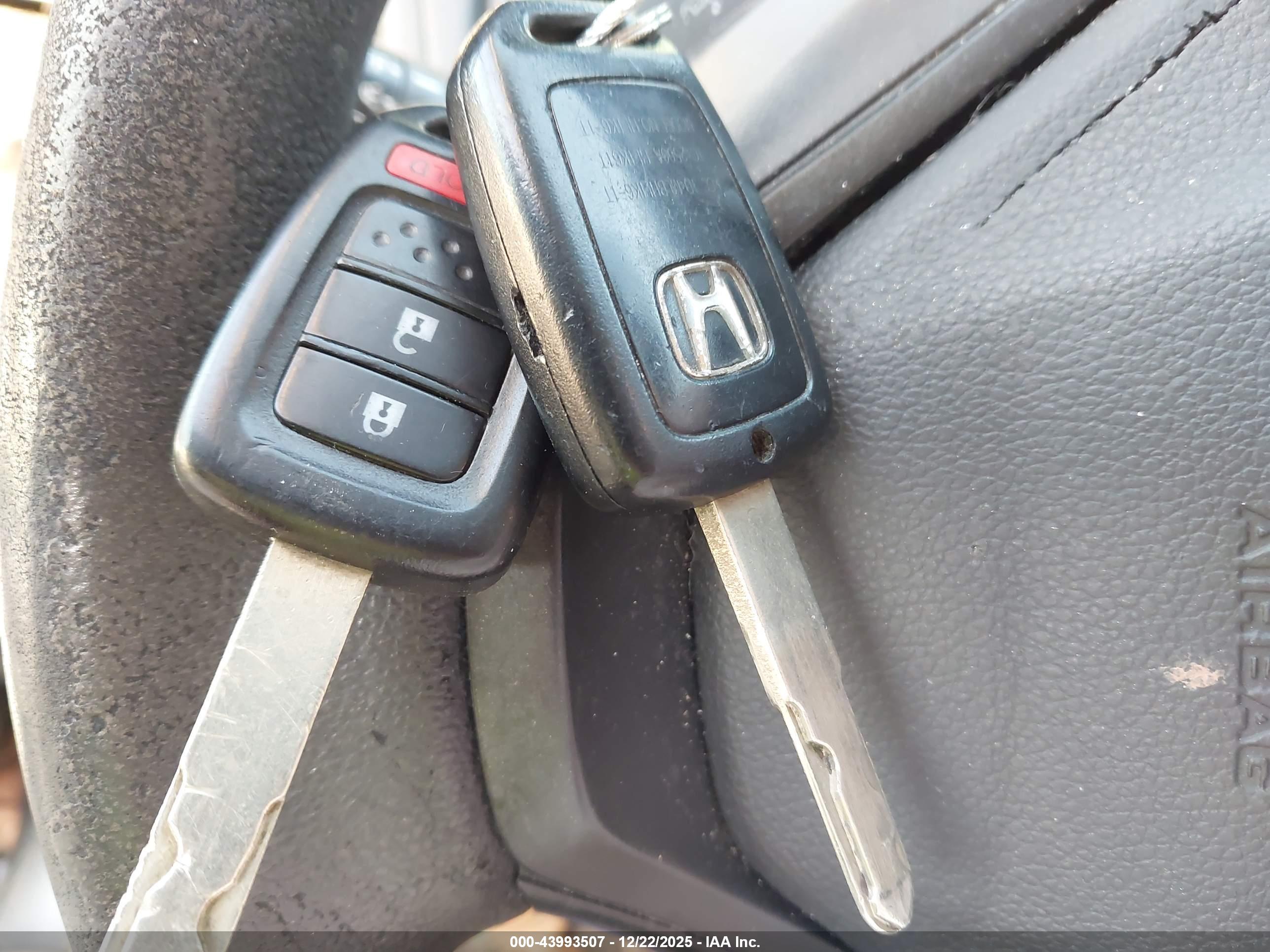 HONDA CR-V image 11