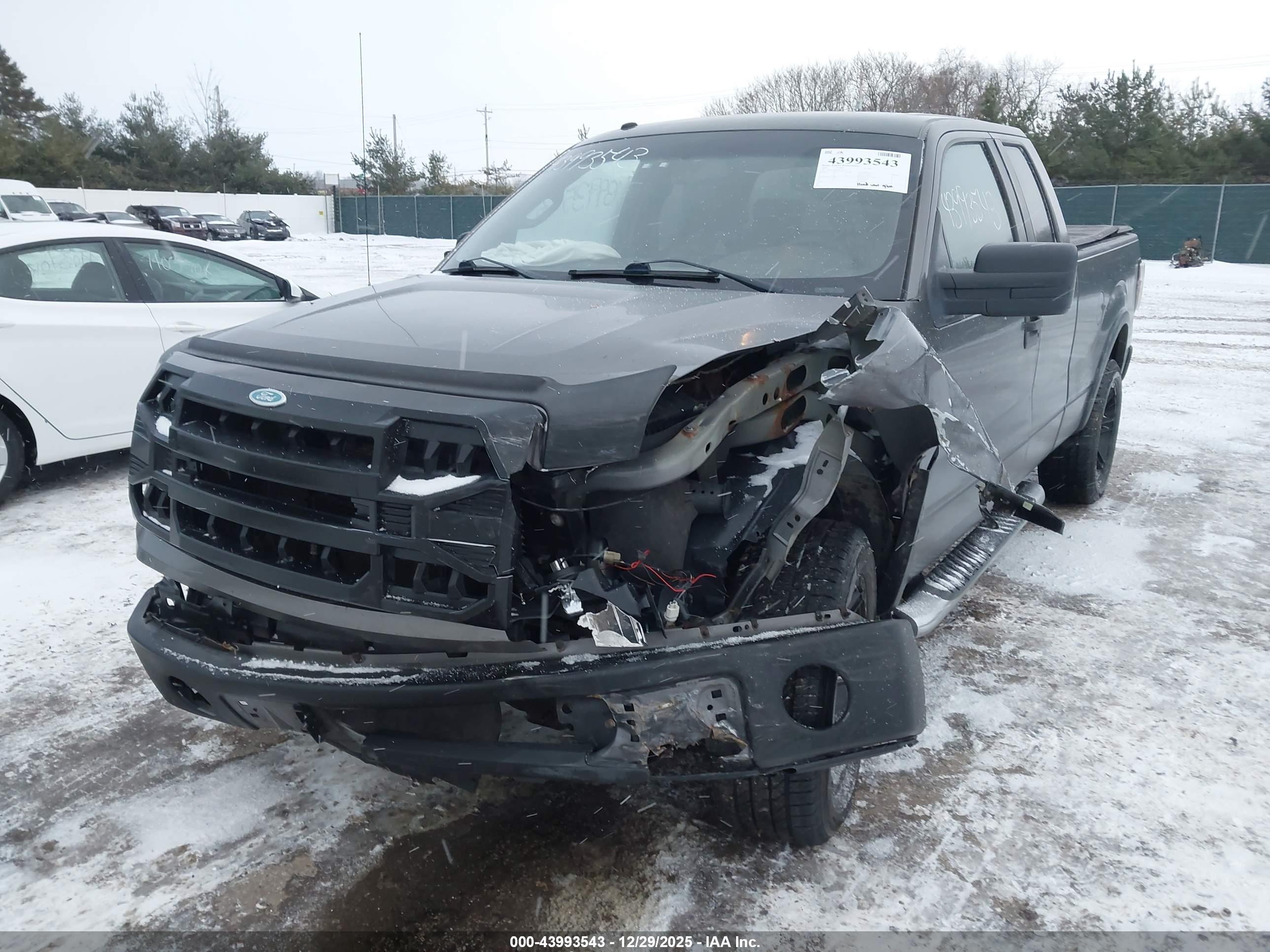FORD F-150 image 6