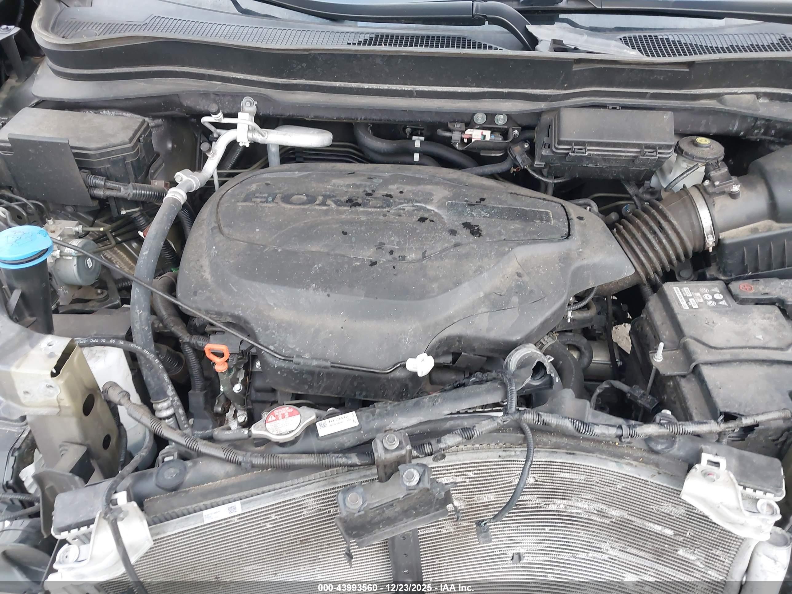 HONDA PILOT image 10