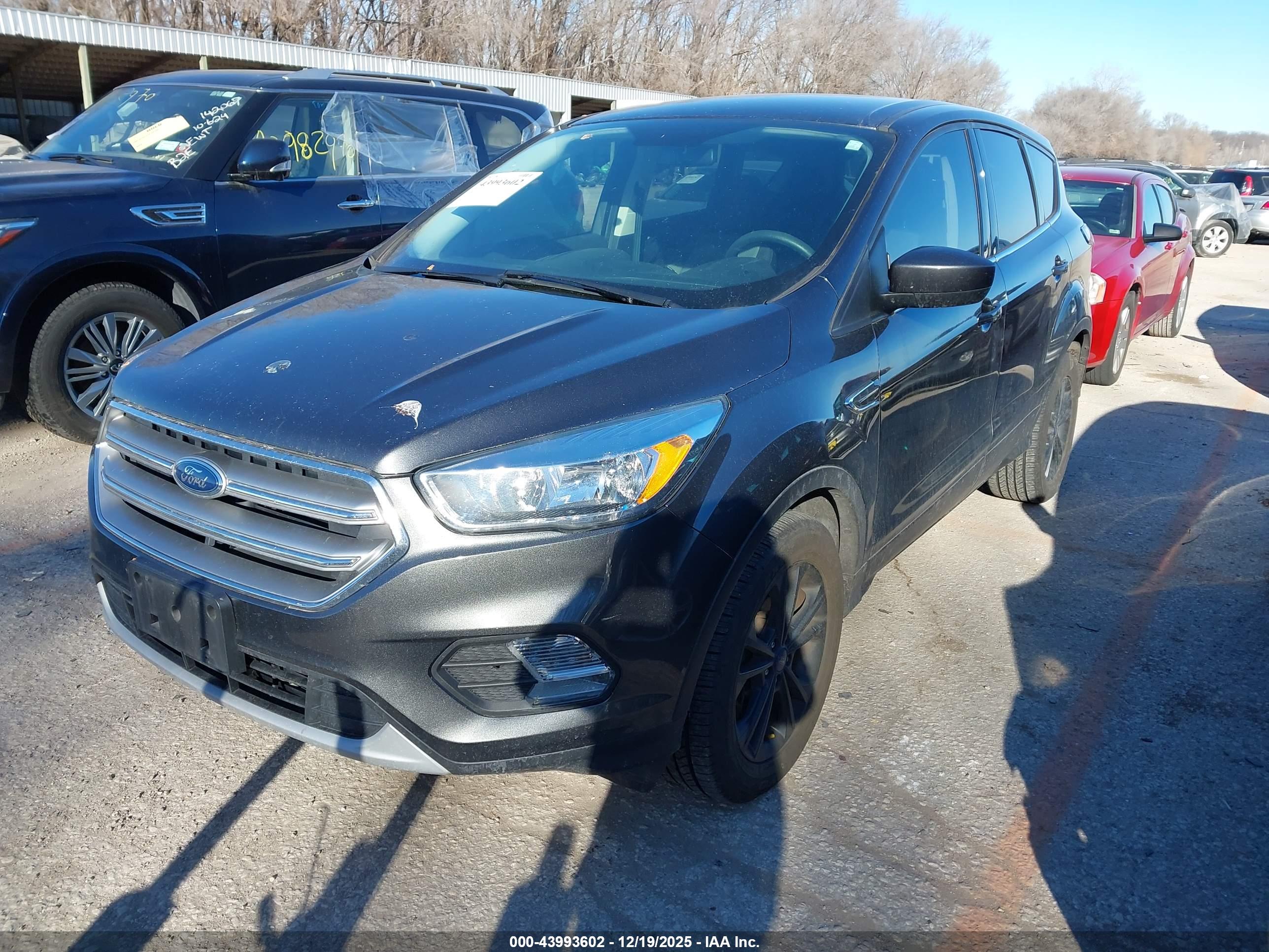 FORD ESCAPE image 2