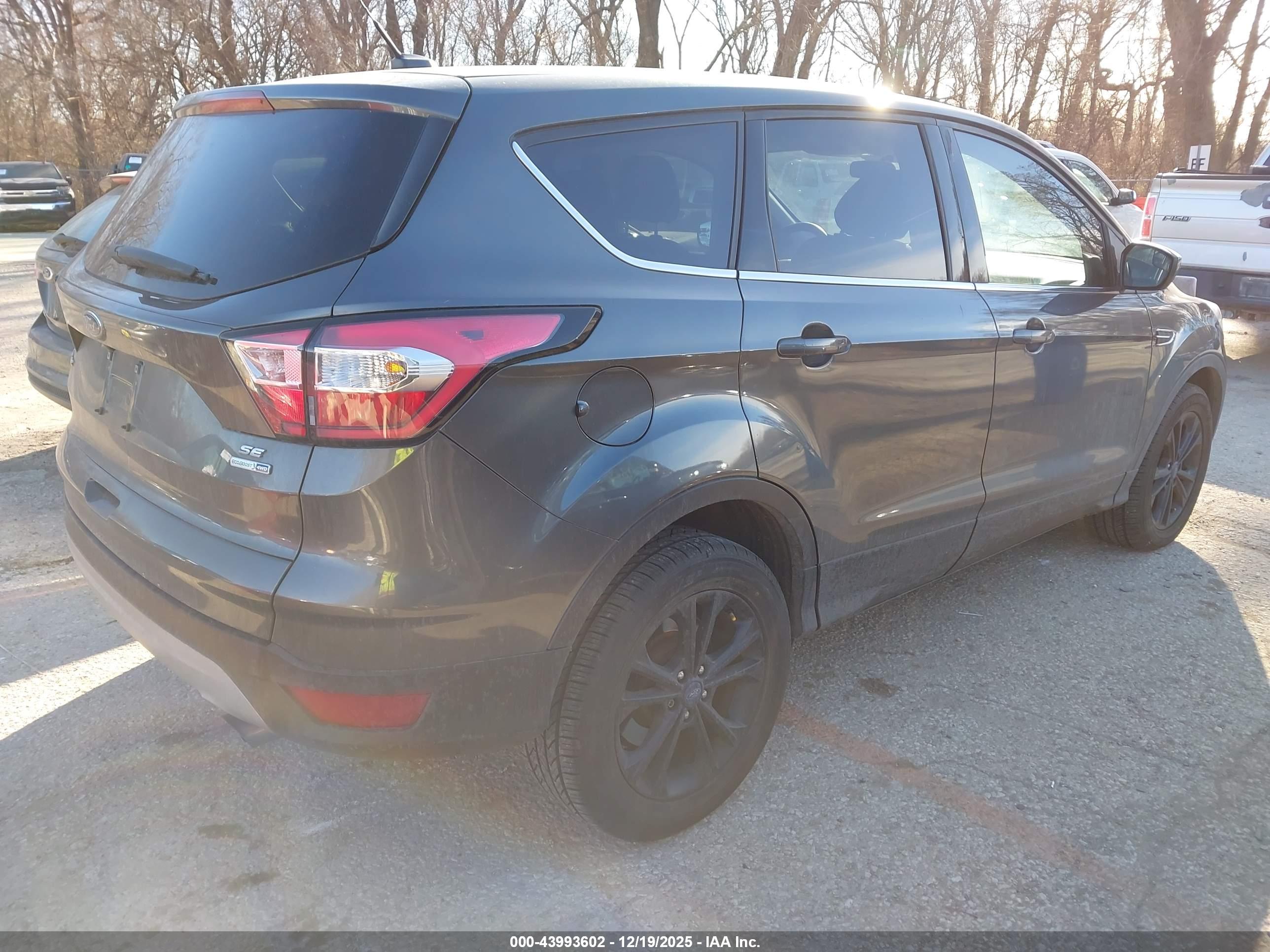 FORD ESCAPE image 4