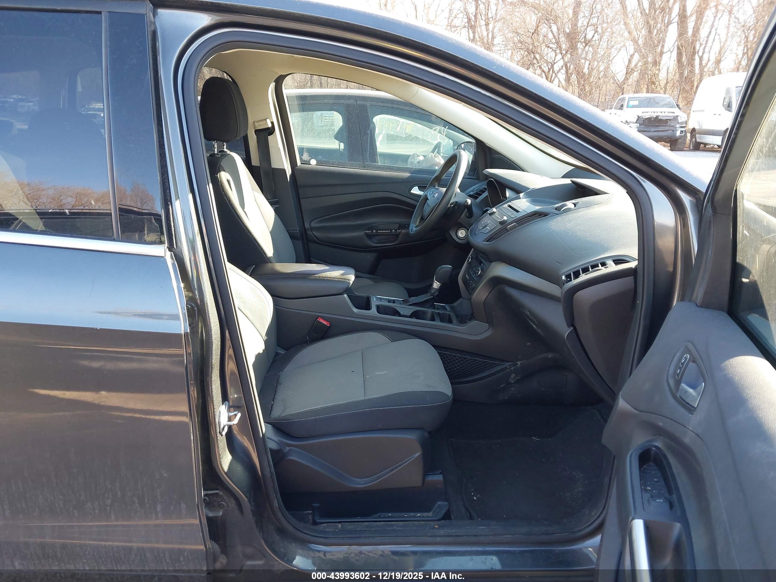 FORD ESCAPE image 5