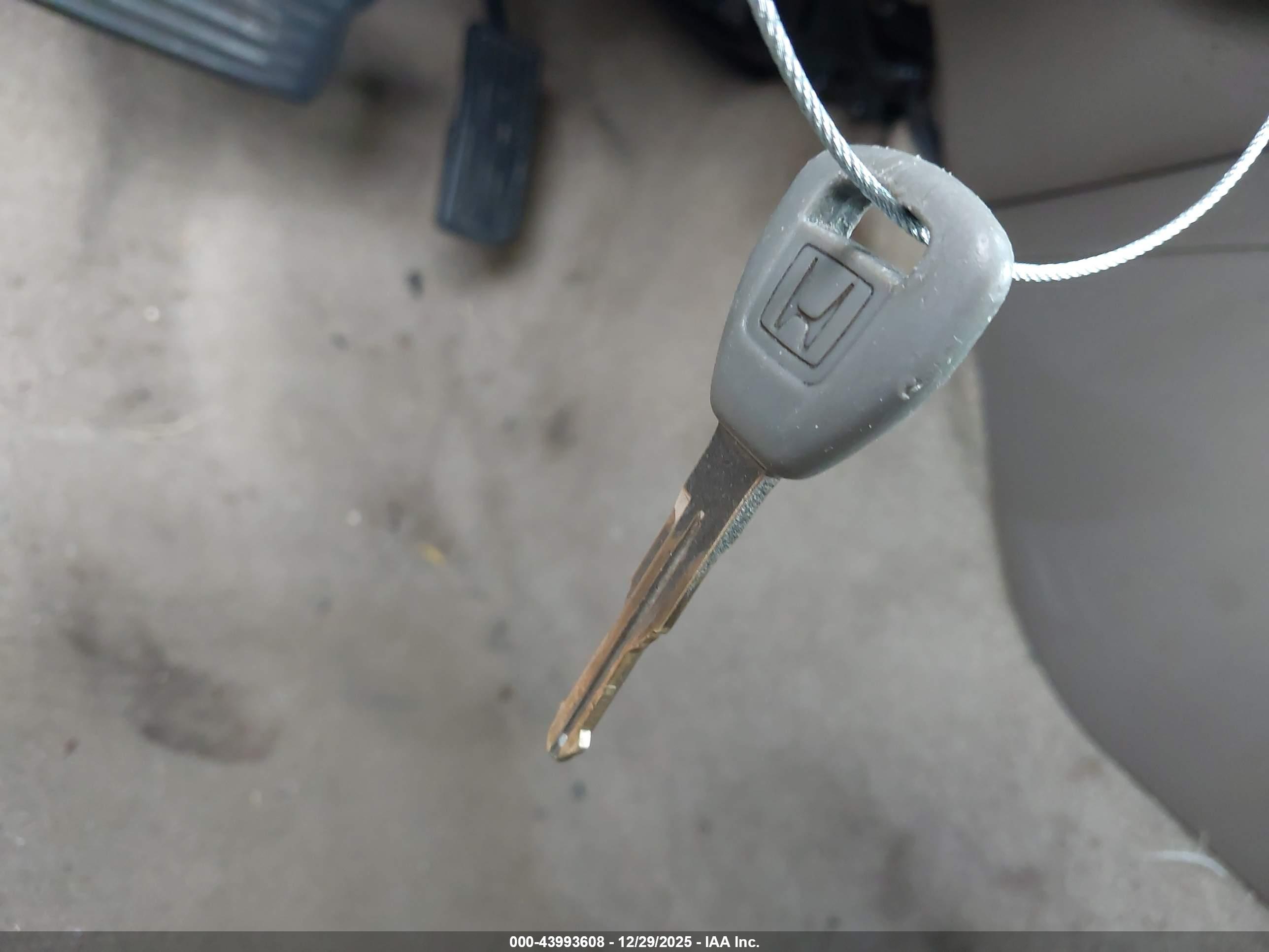 HONDA ACCORD image 11