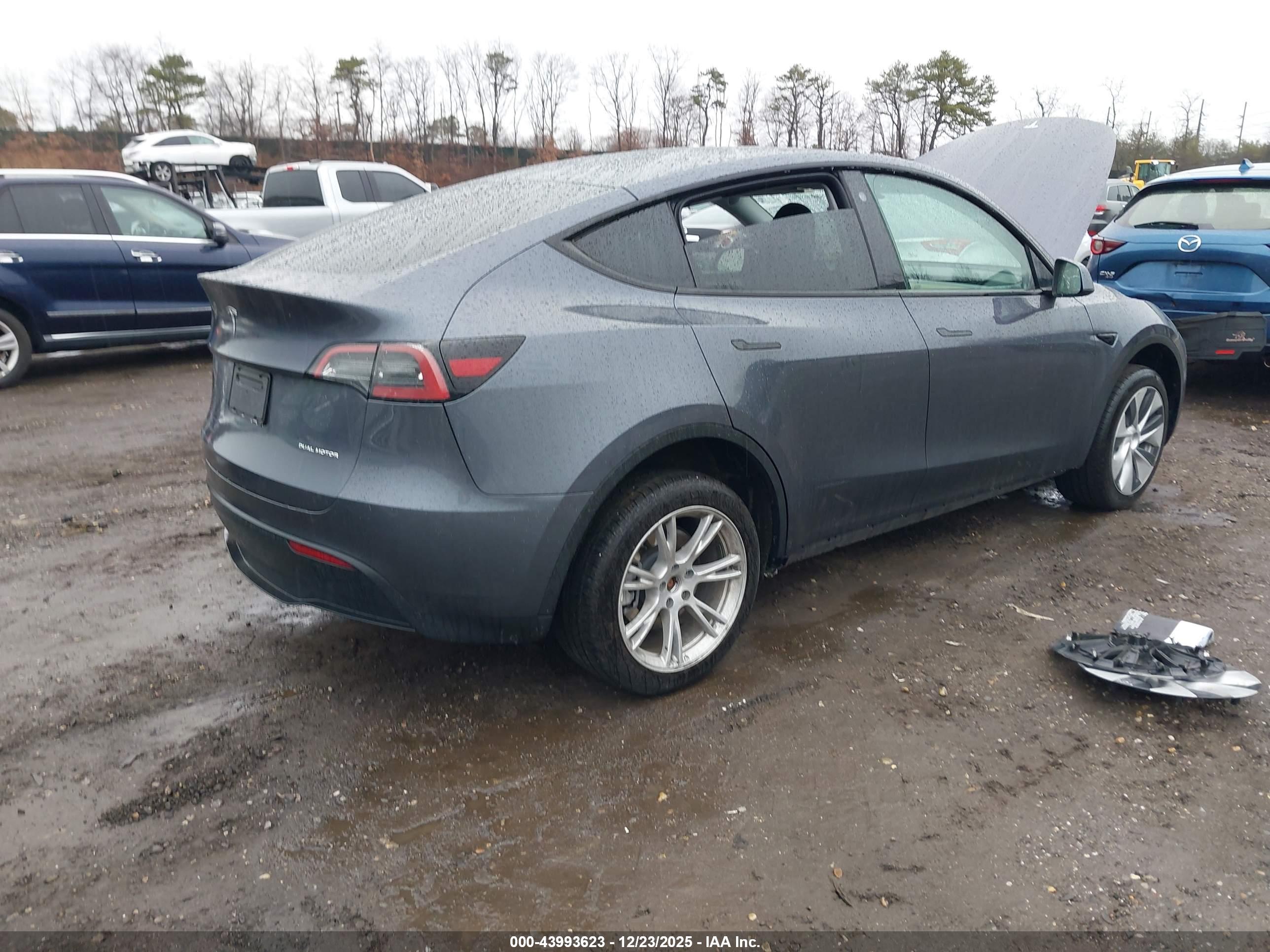 TESLA MODEL image 4