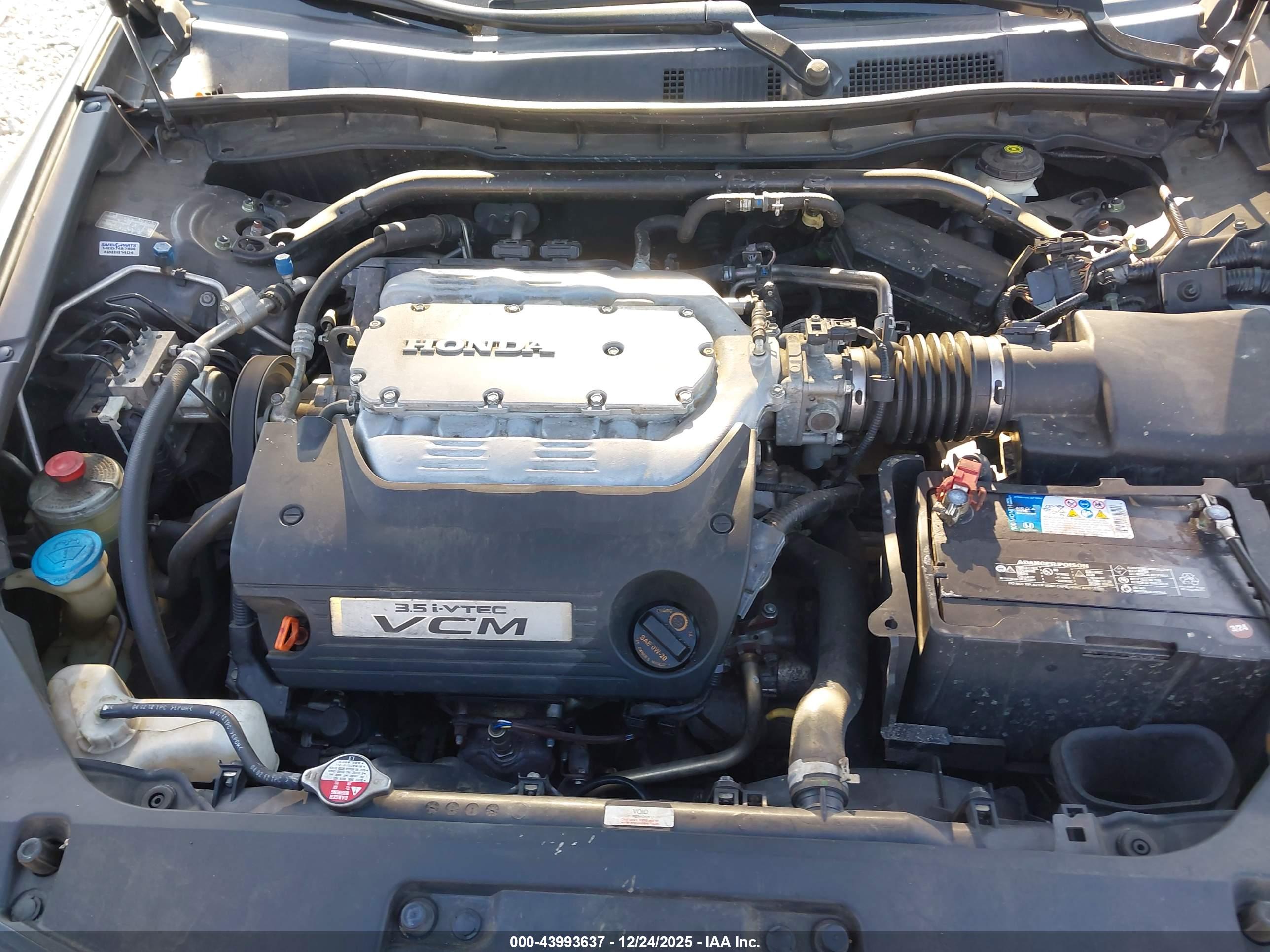HONDA ACCORD image 10