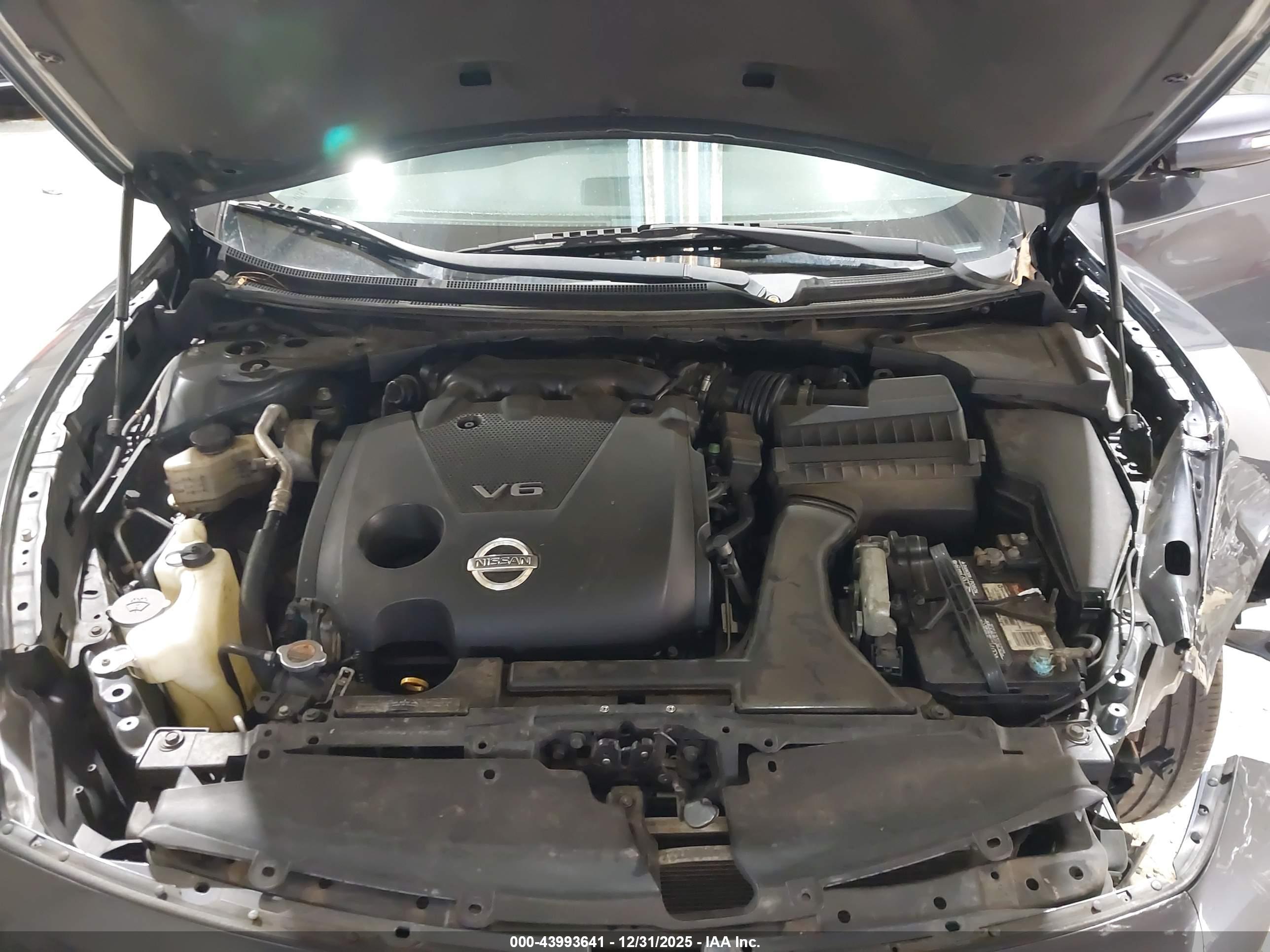 NISSAN MAXIMA image 10