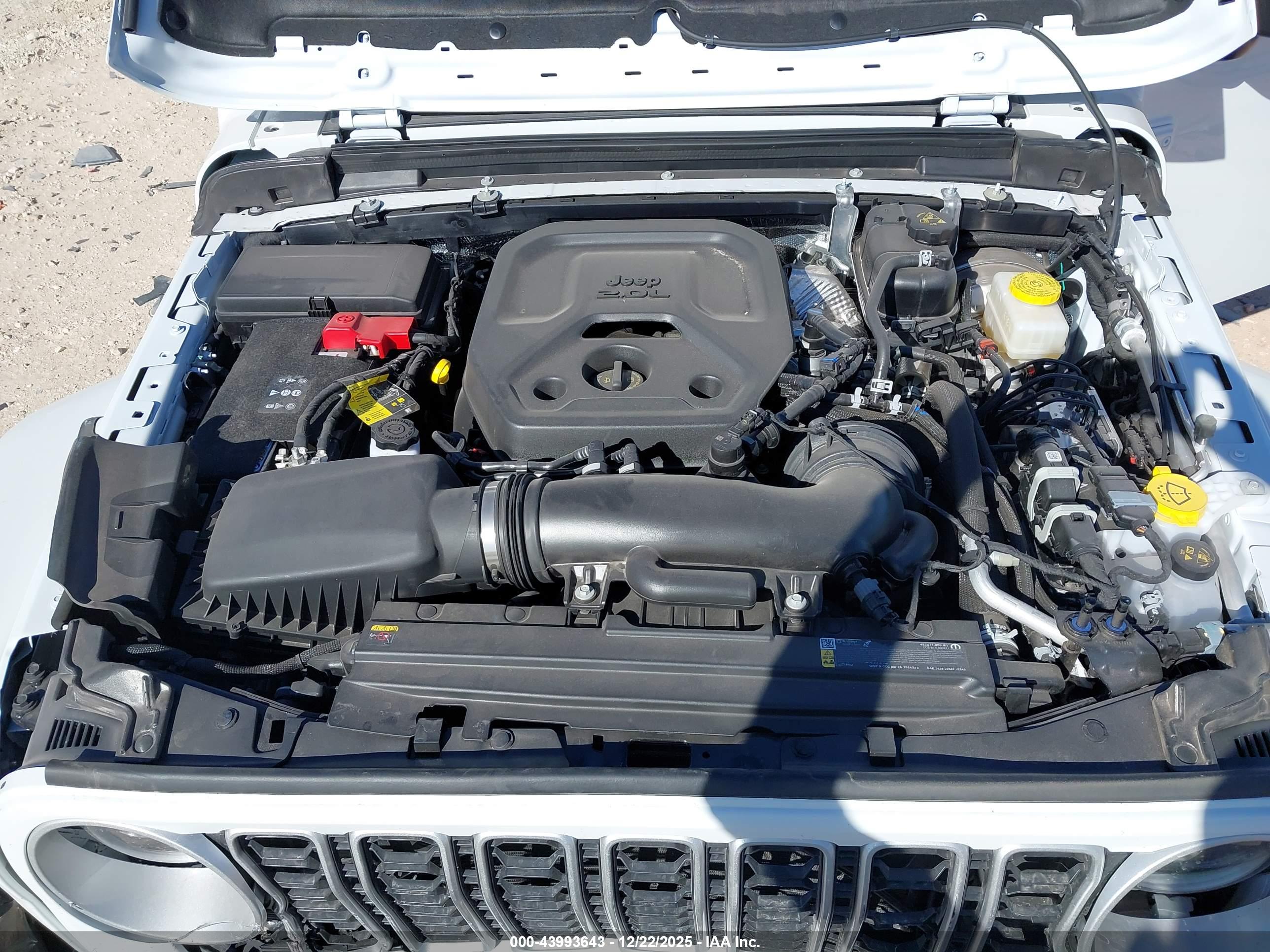 JEEP WRANGLER image 10