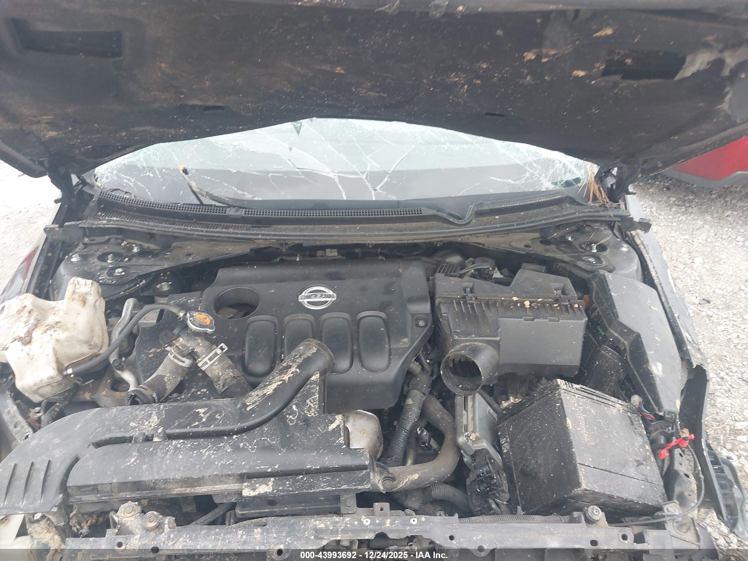 NISSAN ALTIMA image 10