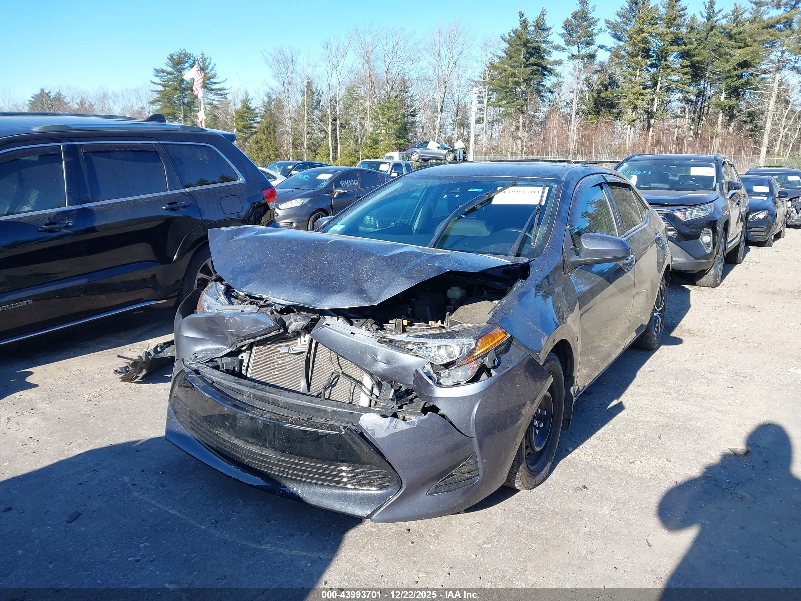 TOYOTA COROLLA image 2