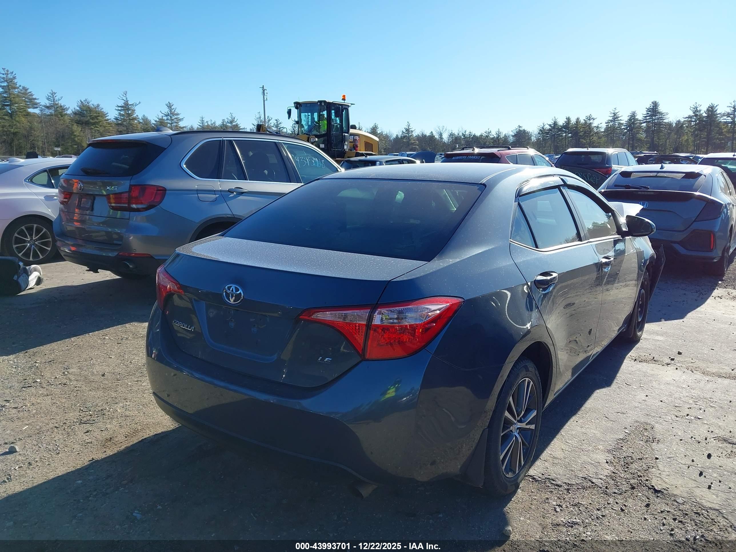 TOYOTA COROLLA image 4
