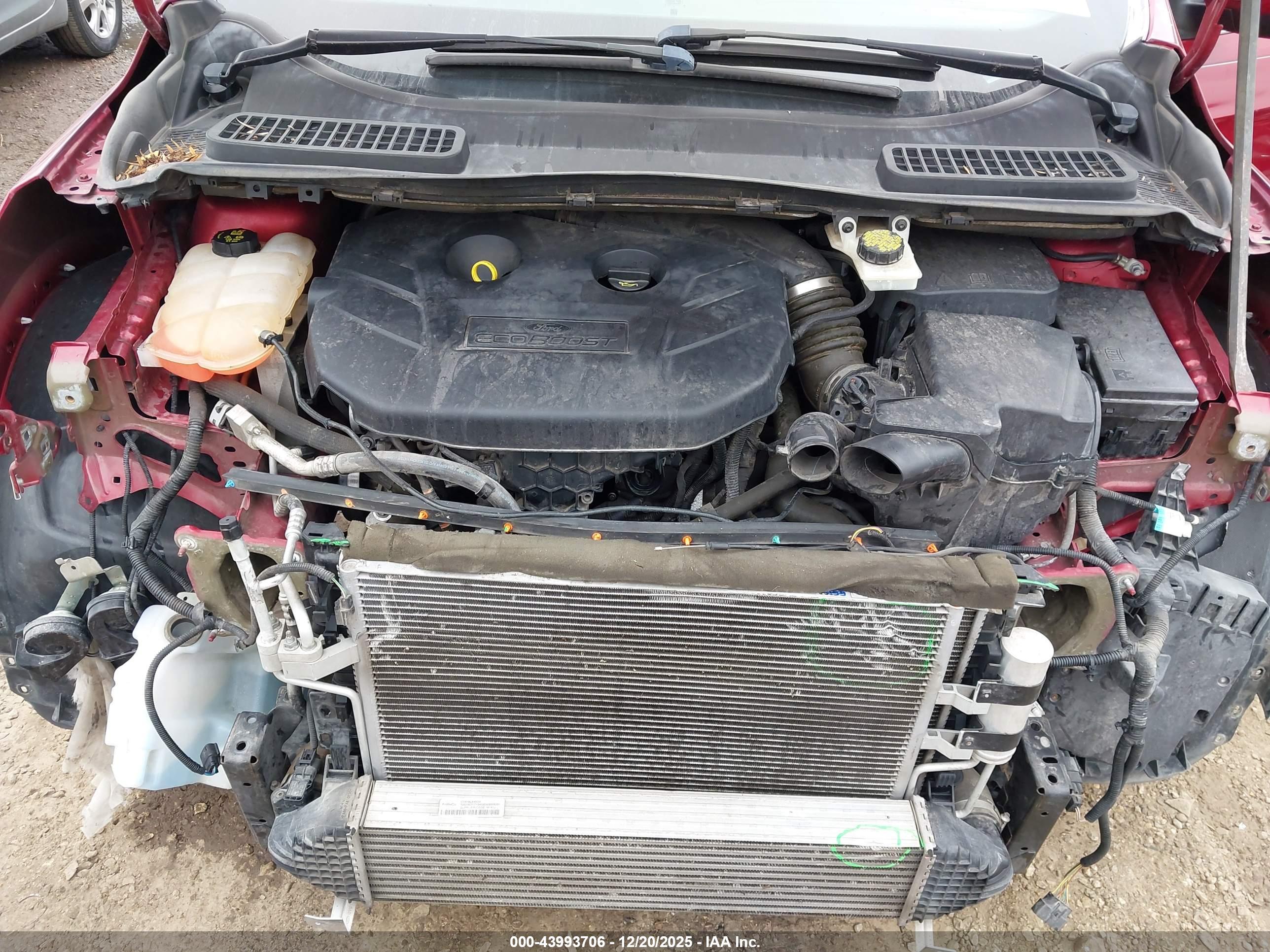 FORD ESCAPE image 10