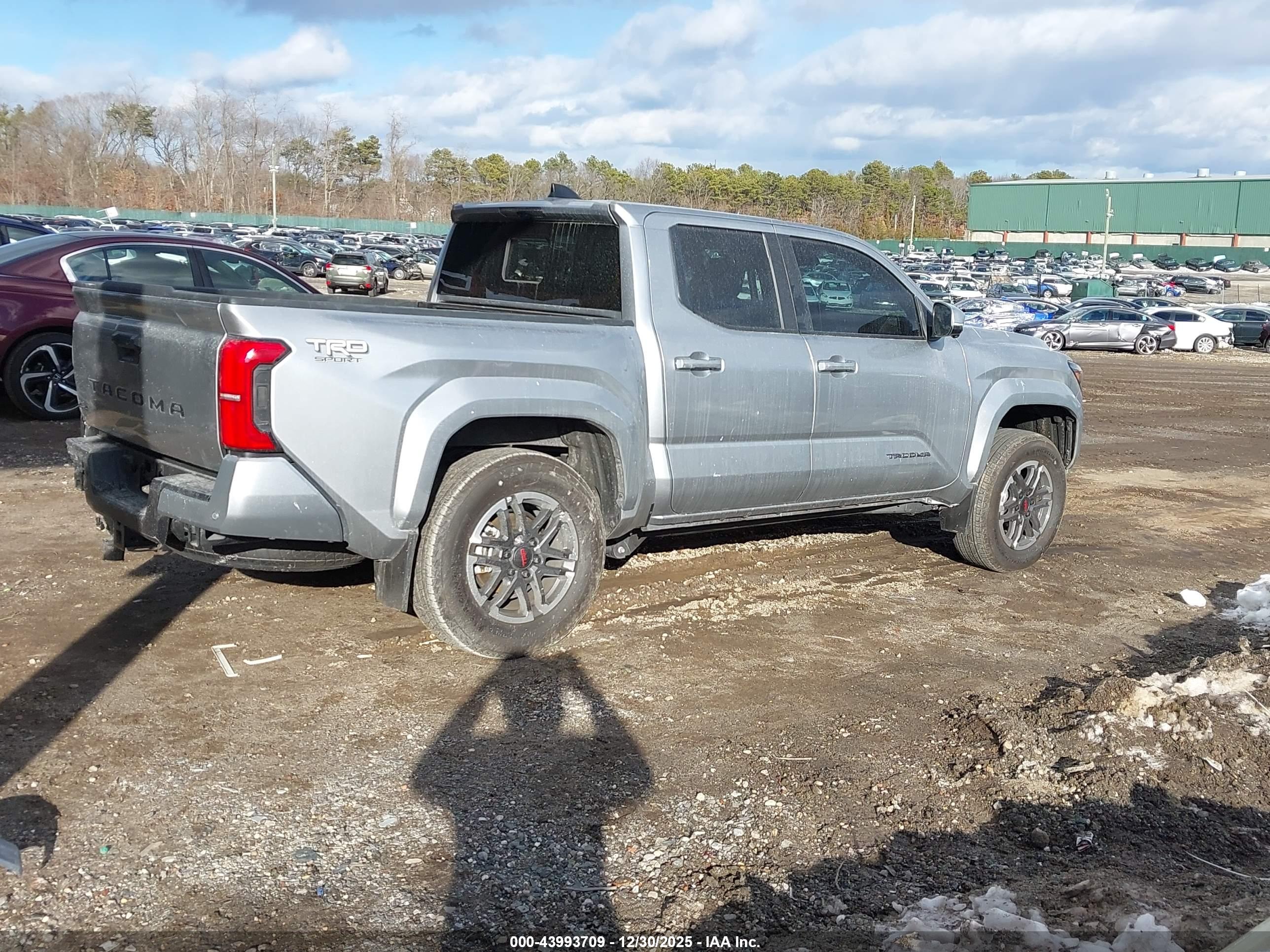 TOYOTA TACOMA image 4