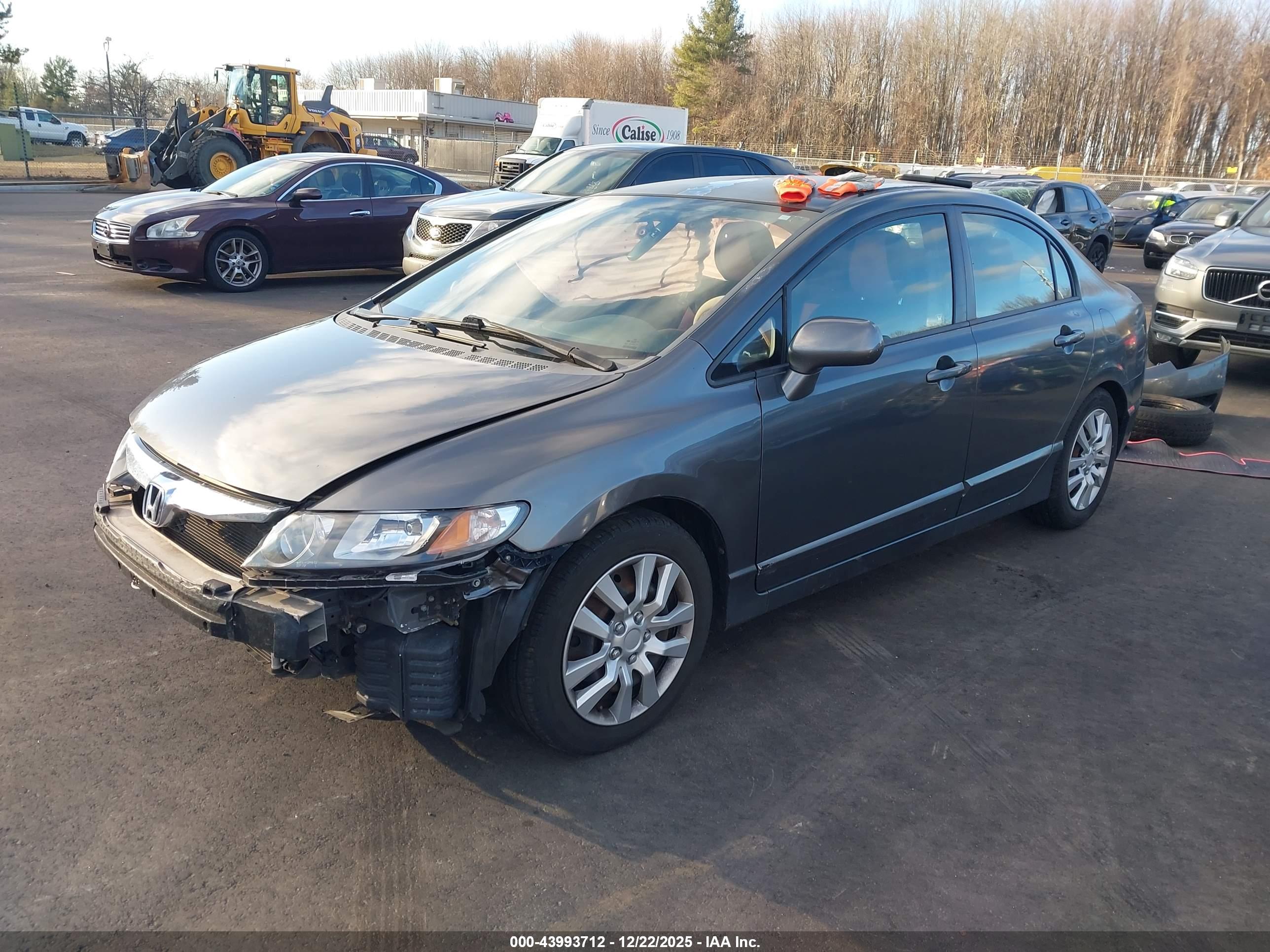 HONDA CIVIC image 2
