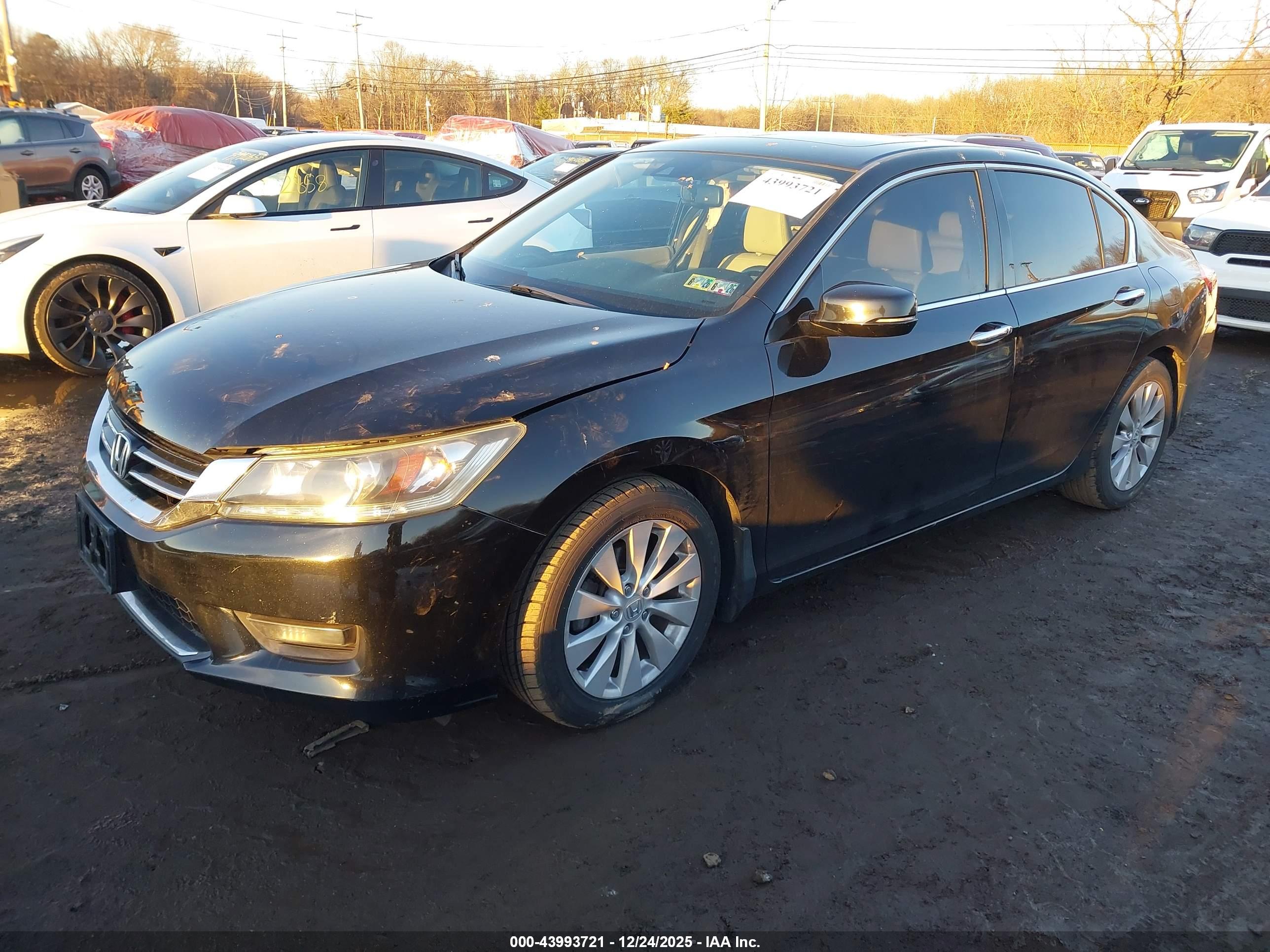 HONDA ACCORD image 2