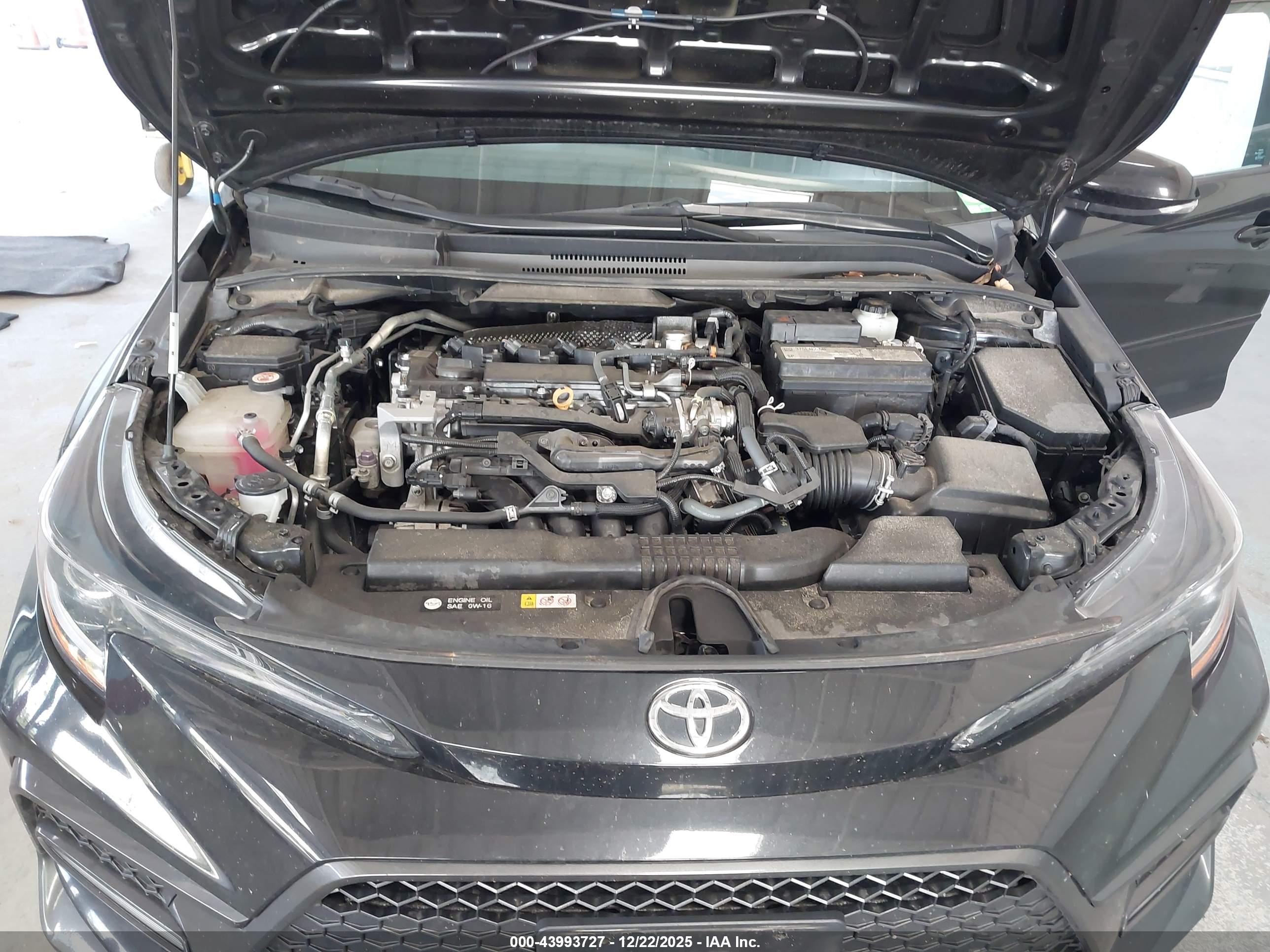 TOYOTA COROLLA image 10