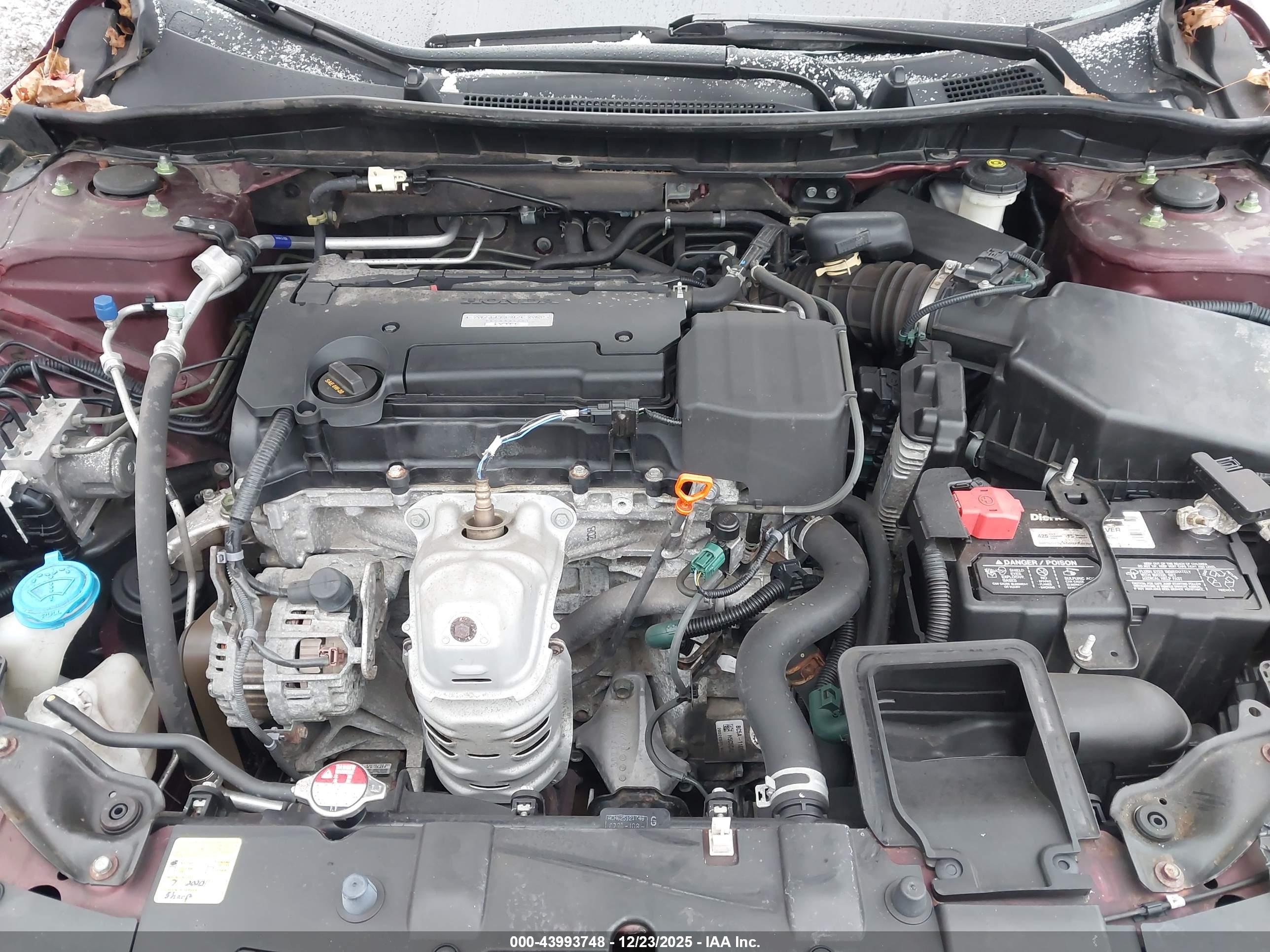 HONDA ACCORD image 10