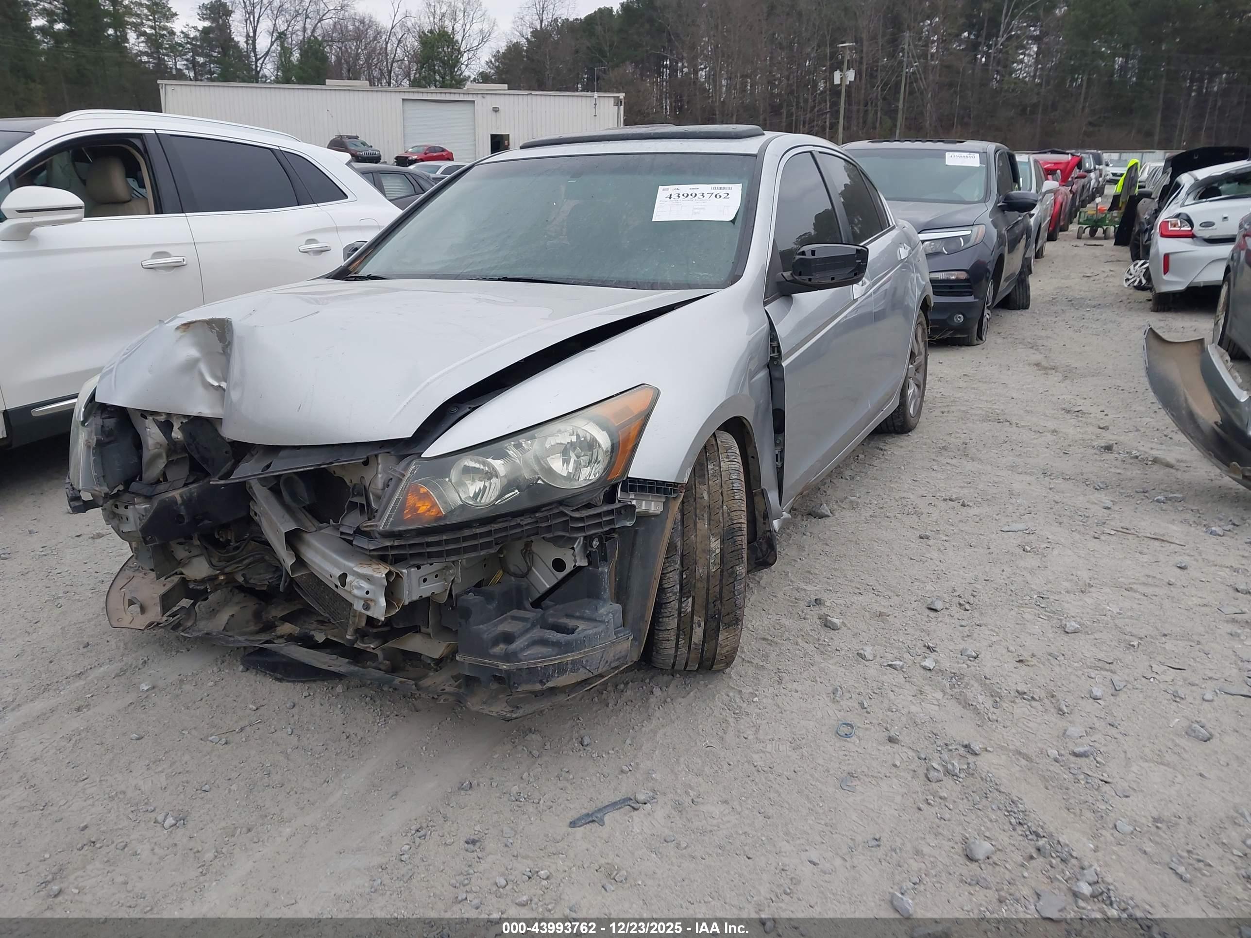 HONDA ACCORD image 2