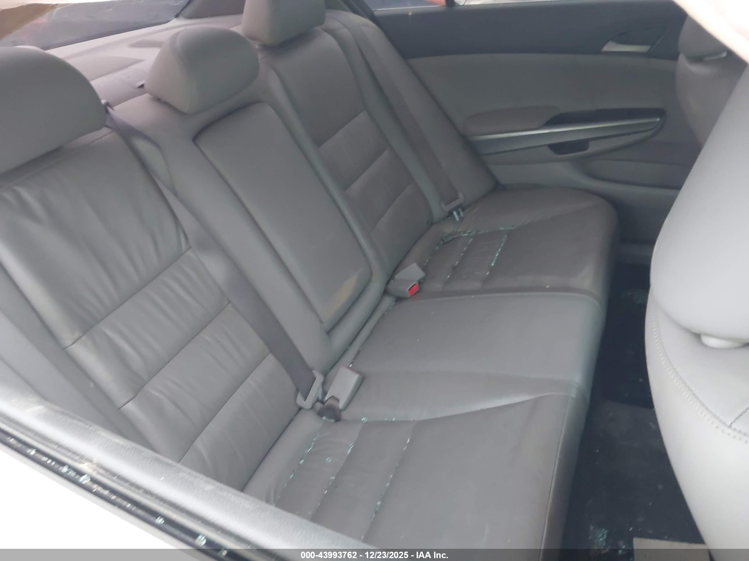 HONDA ACCORD image 8