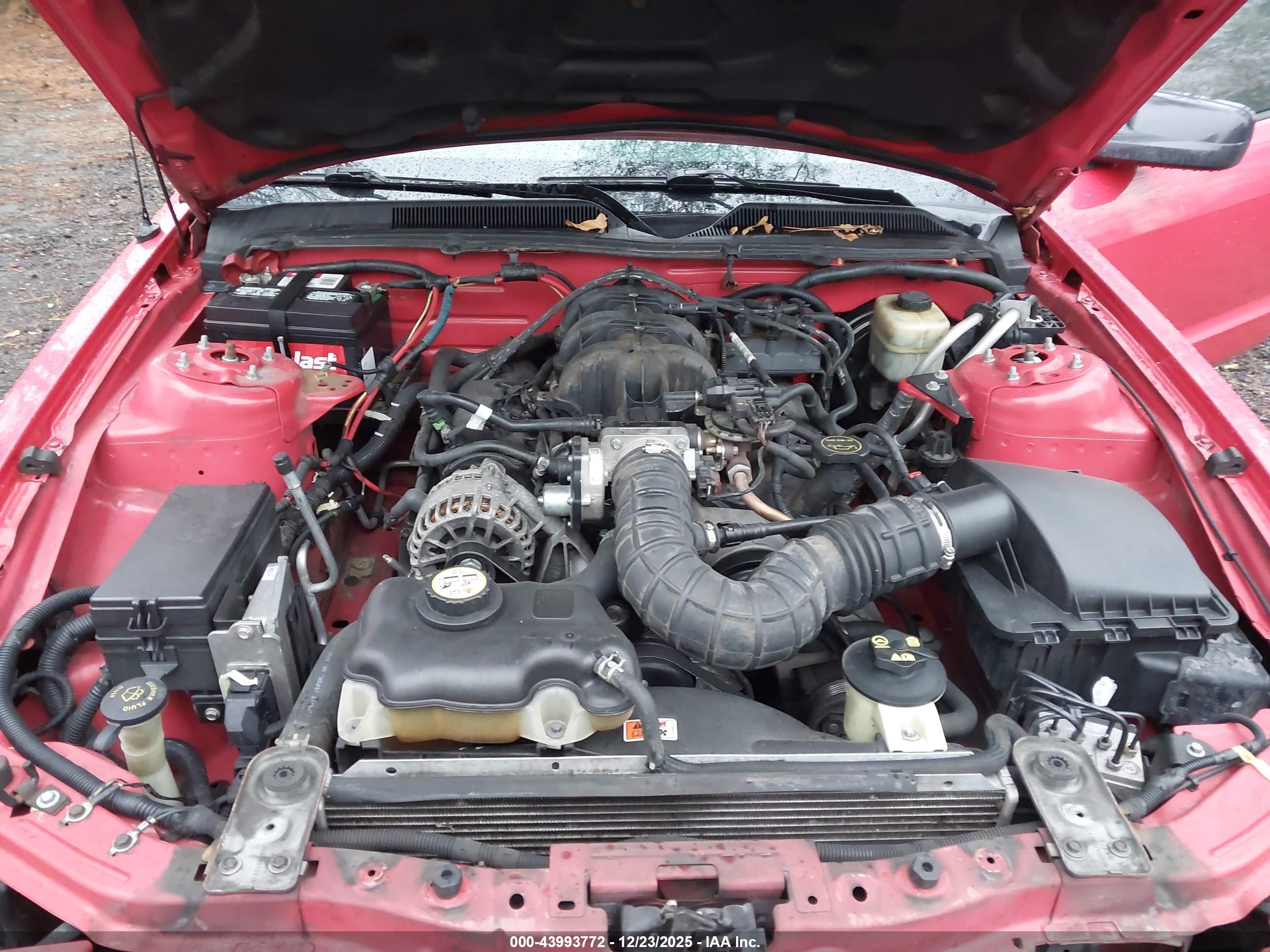 FORD MUSTANG image 10