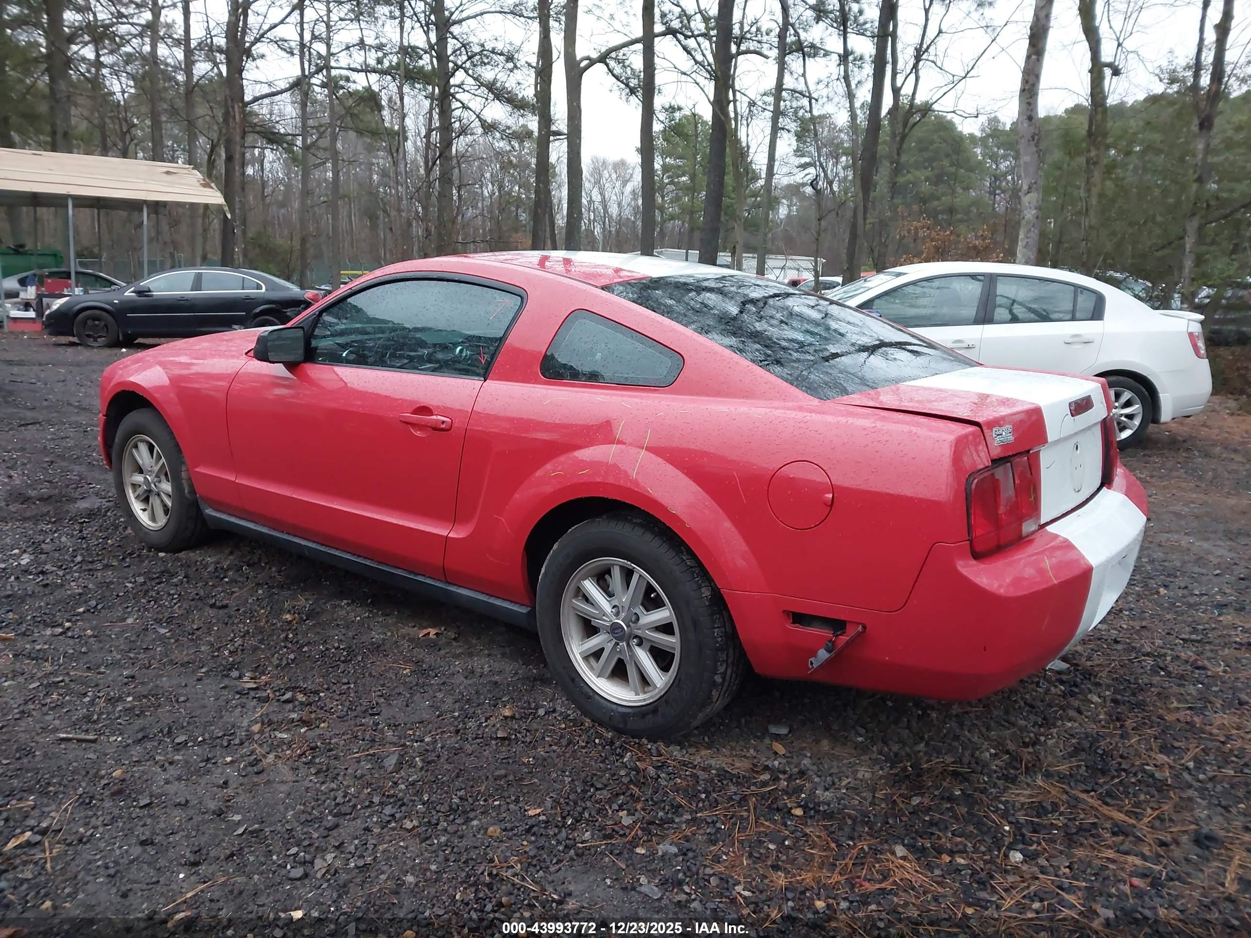 FORD MUSTANG image 3