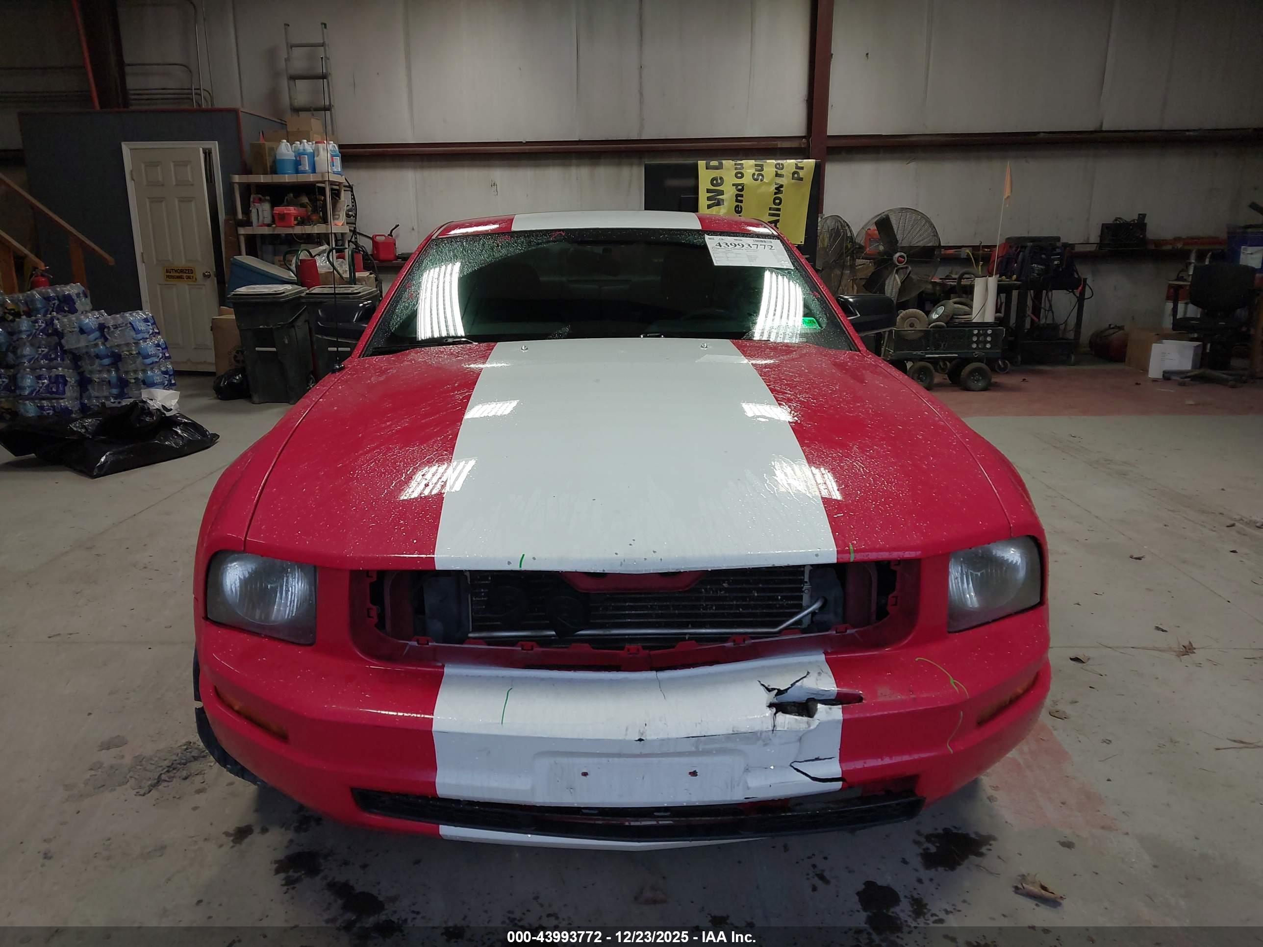 FORD MUSTANG image 6