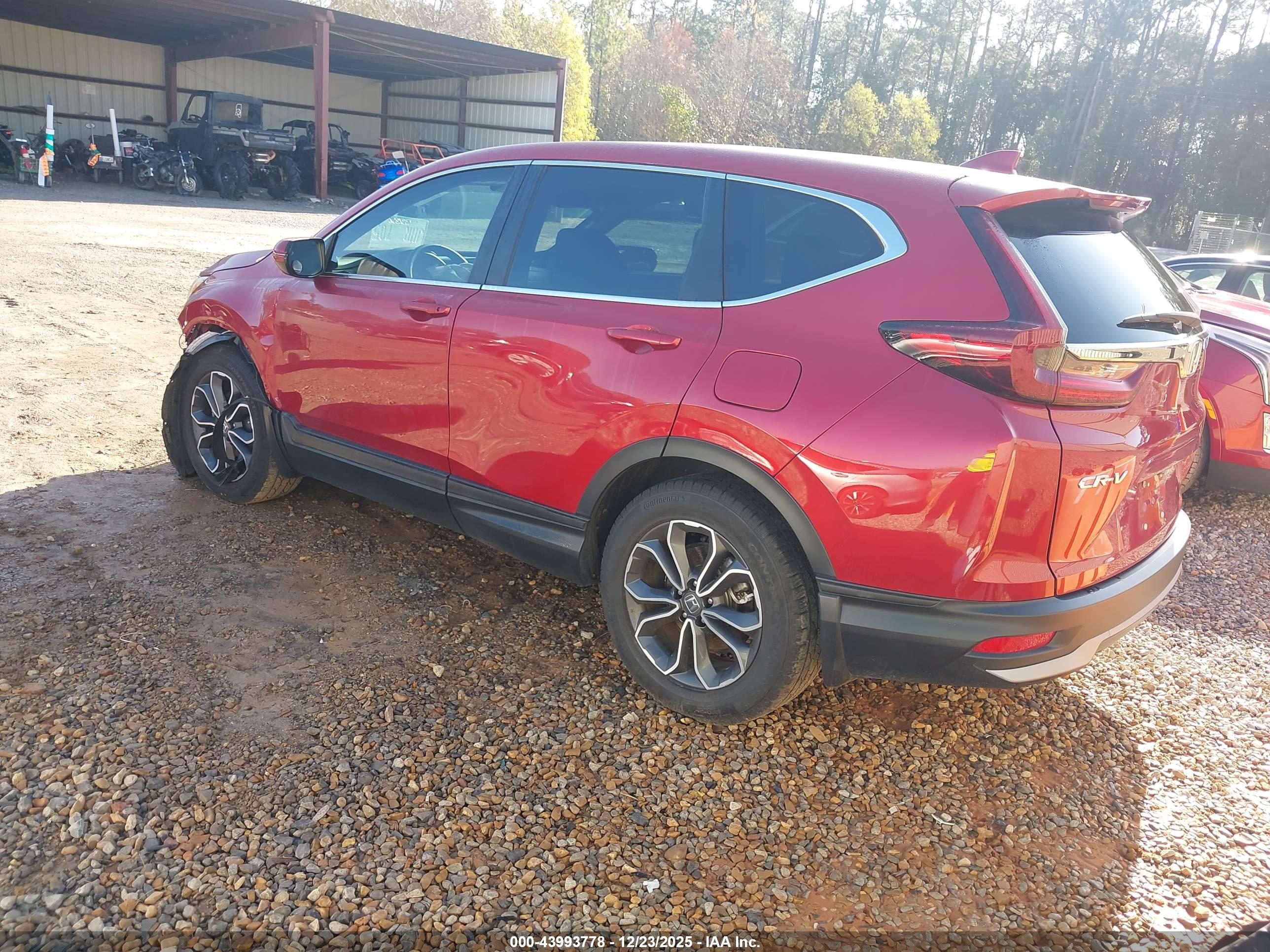 HONDA CR-V image 3