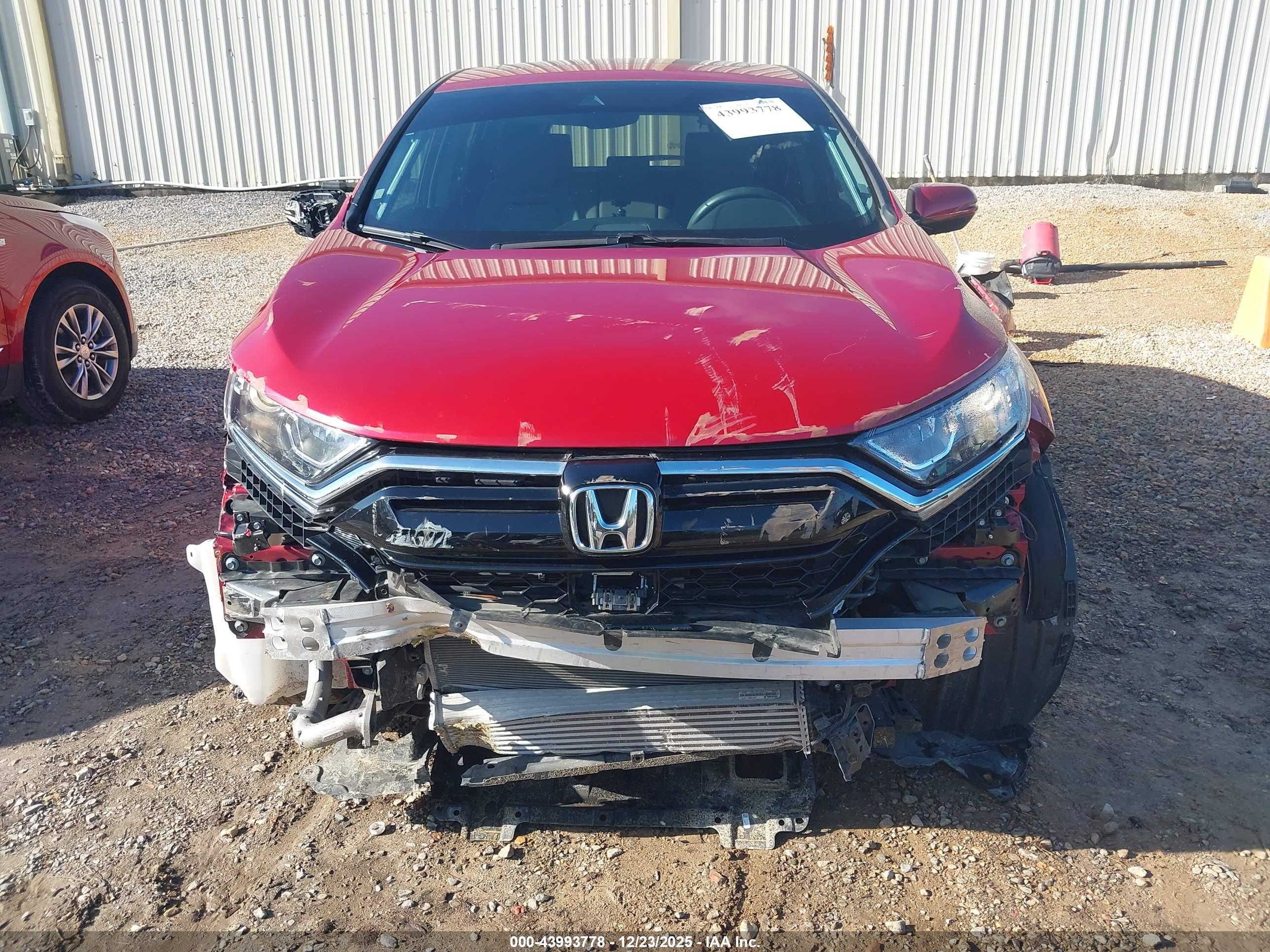 HONDA CR-V image 6