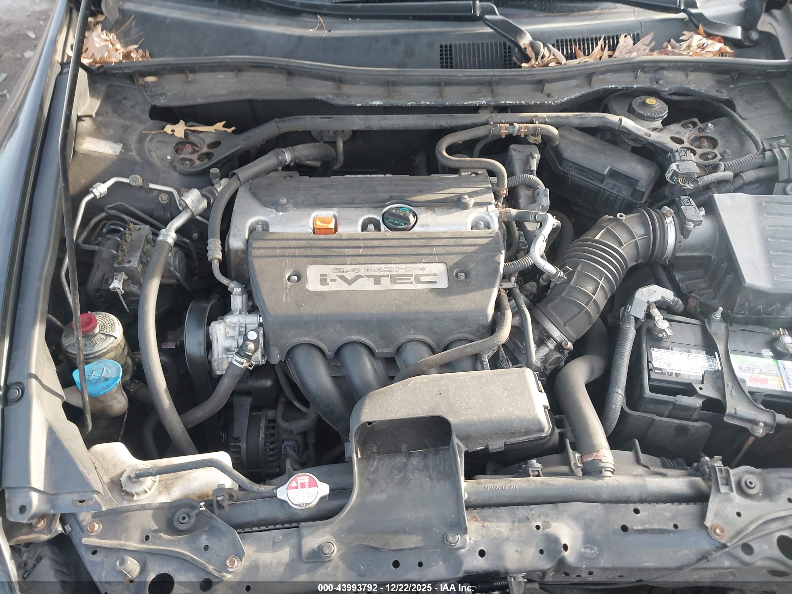 HONDA ACCORD image 10