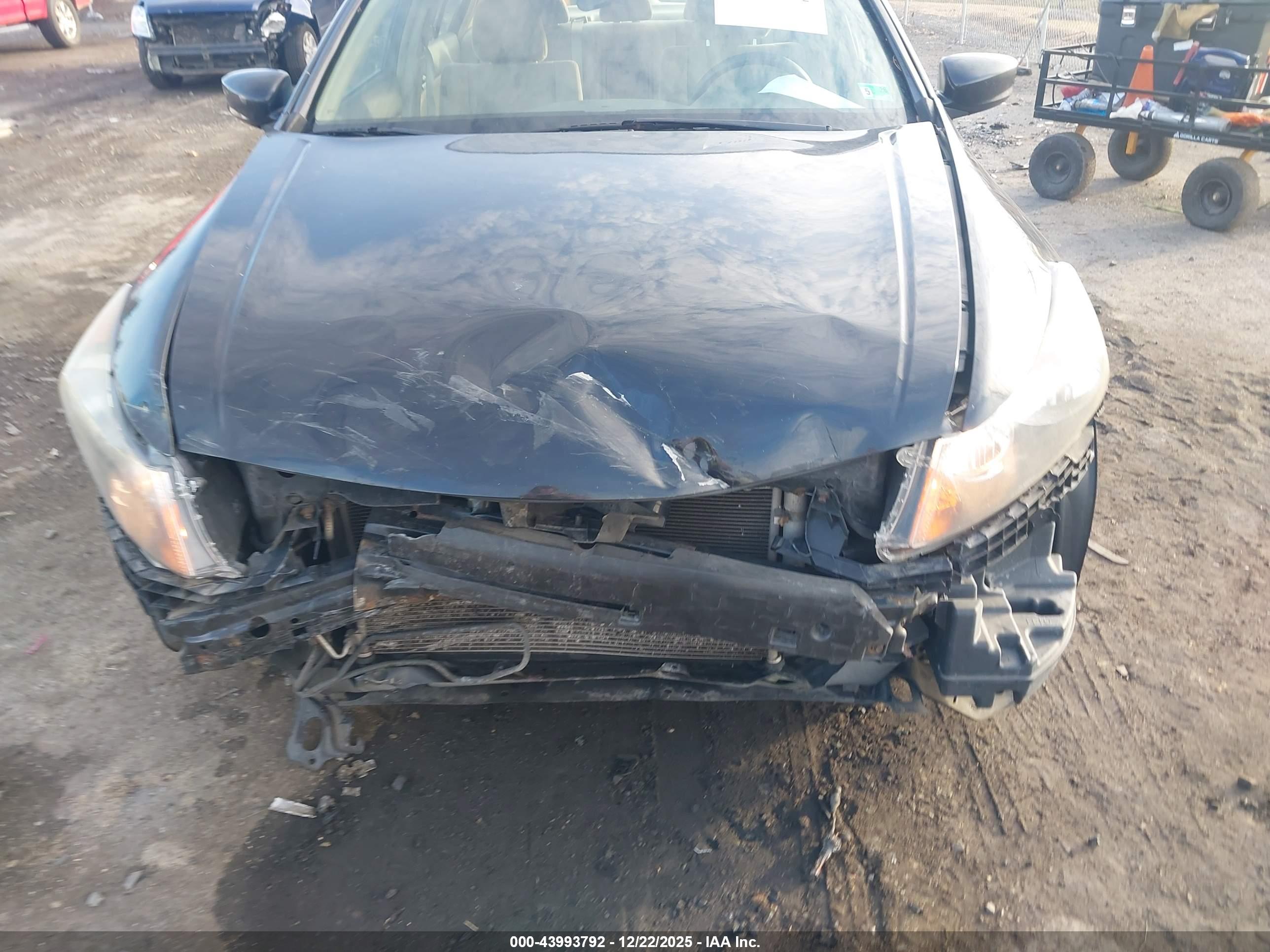 HONDA ACCORD image 6