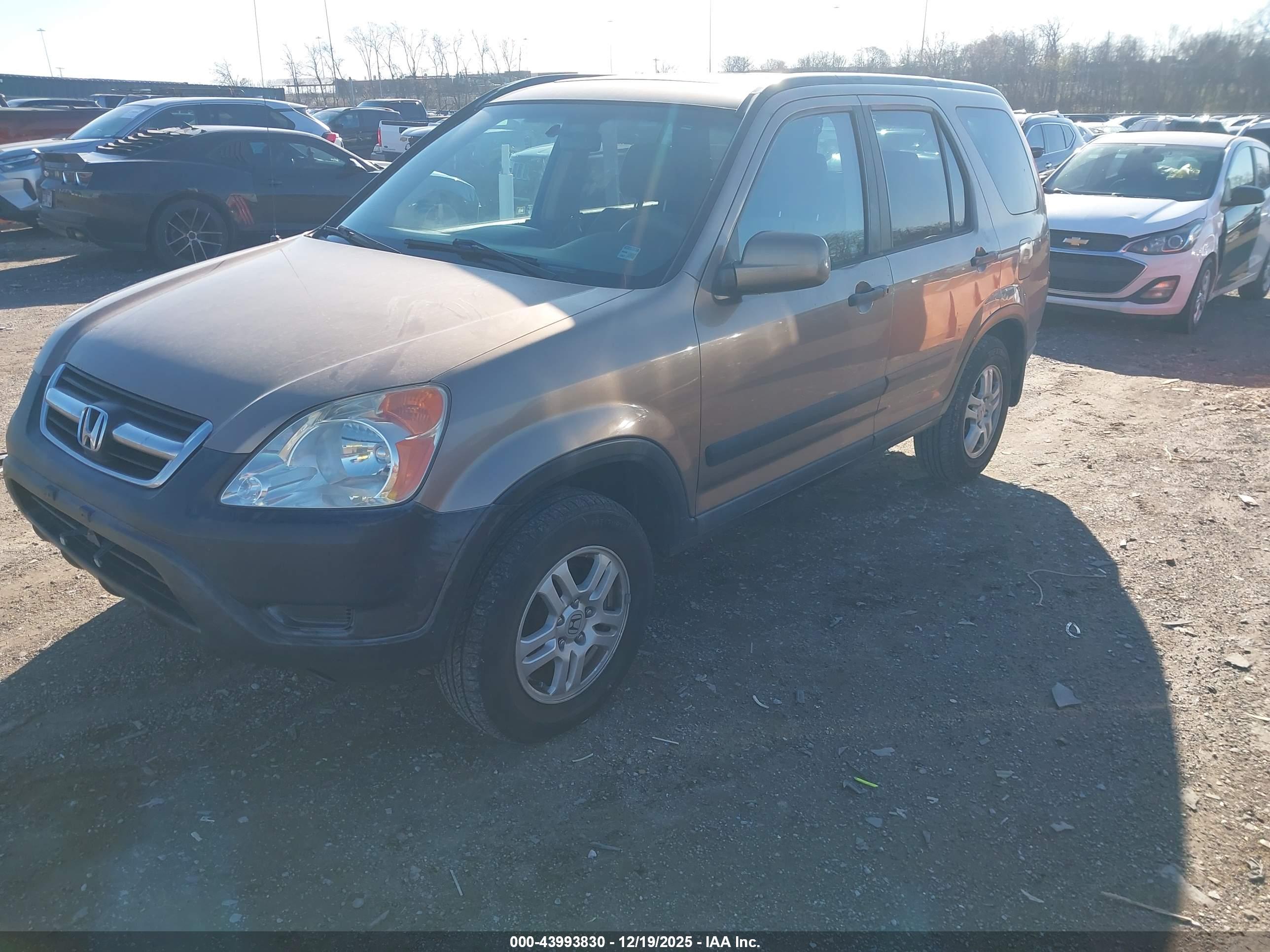 HONDA CR-V image 2