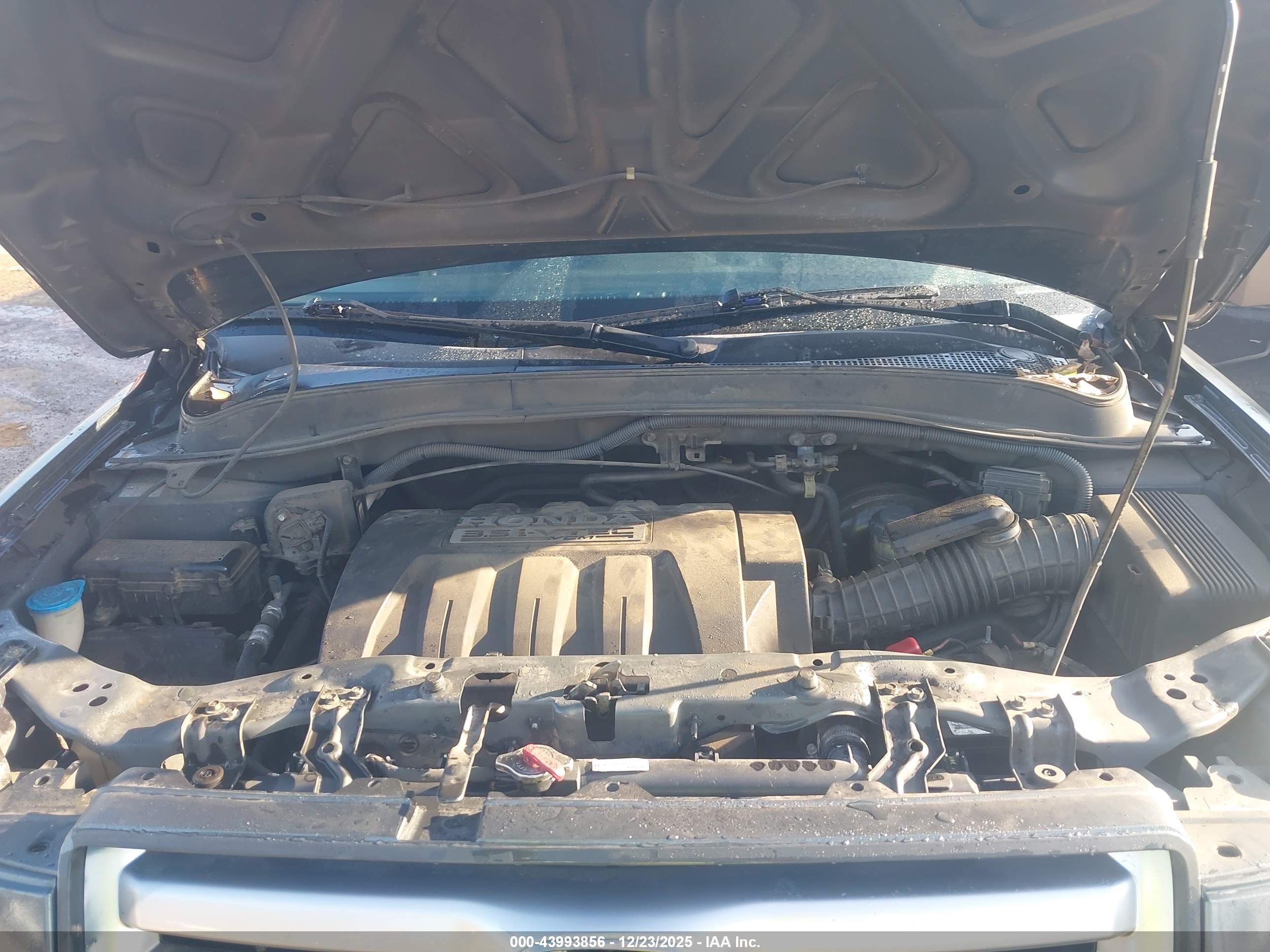 HONDA PILOT image 10