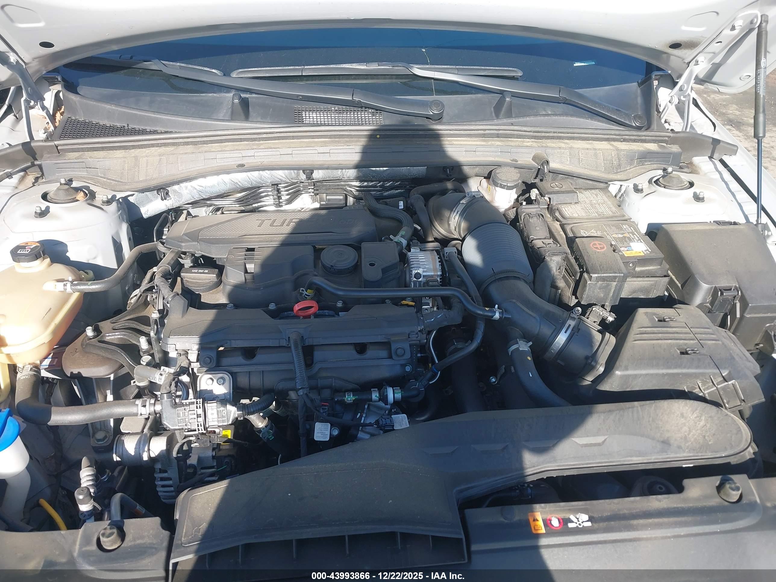 KIA K5 image 10