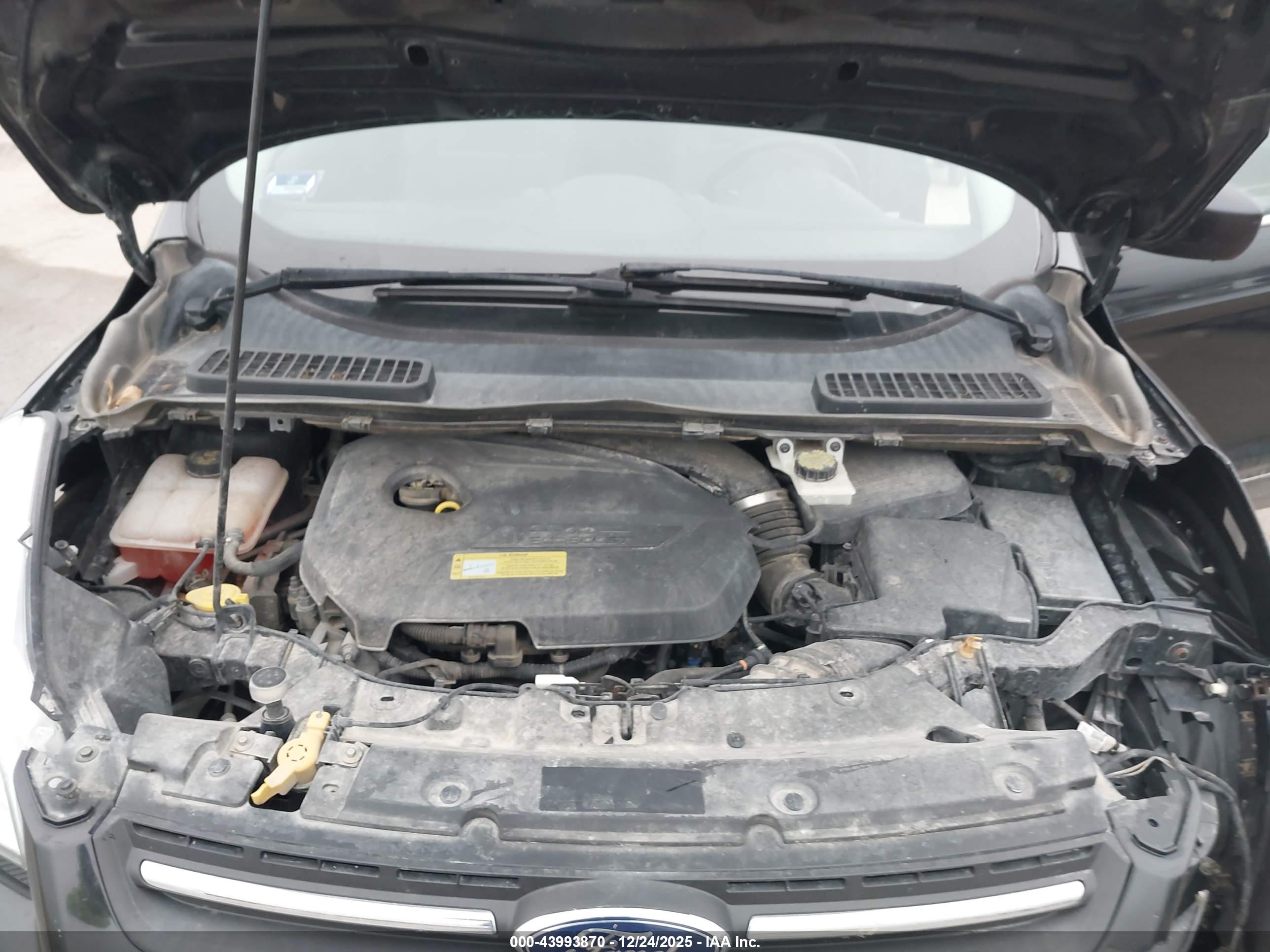 FORD ESCAPE image 10